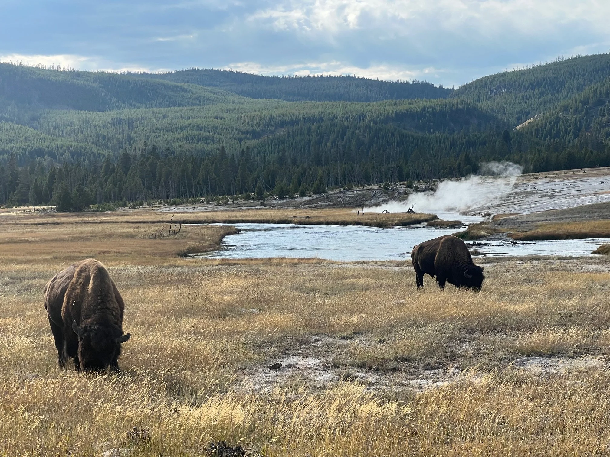 The Perfect 2-Day Yellowstone Itinerary