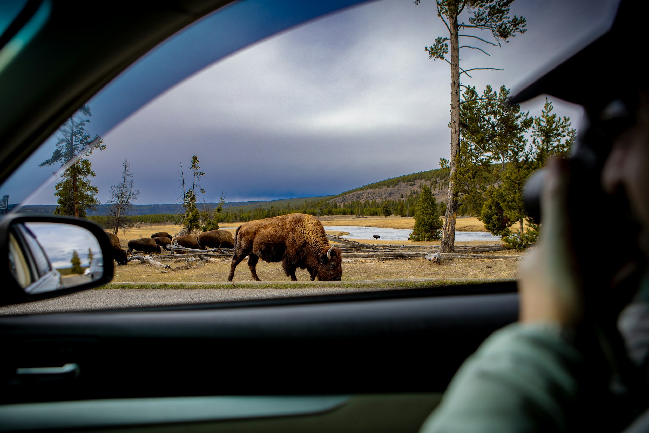 Why Fall Is Secretly the Best Time to Visit Yellowstone National Park