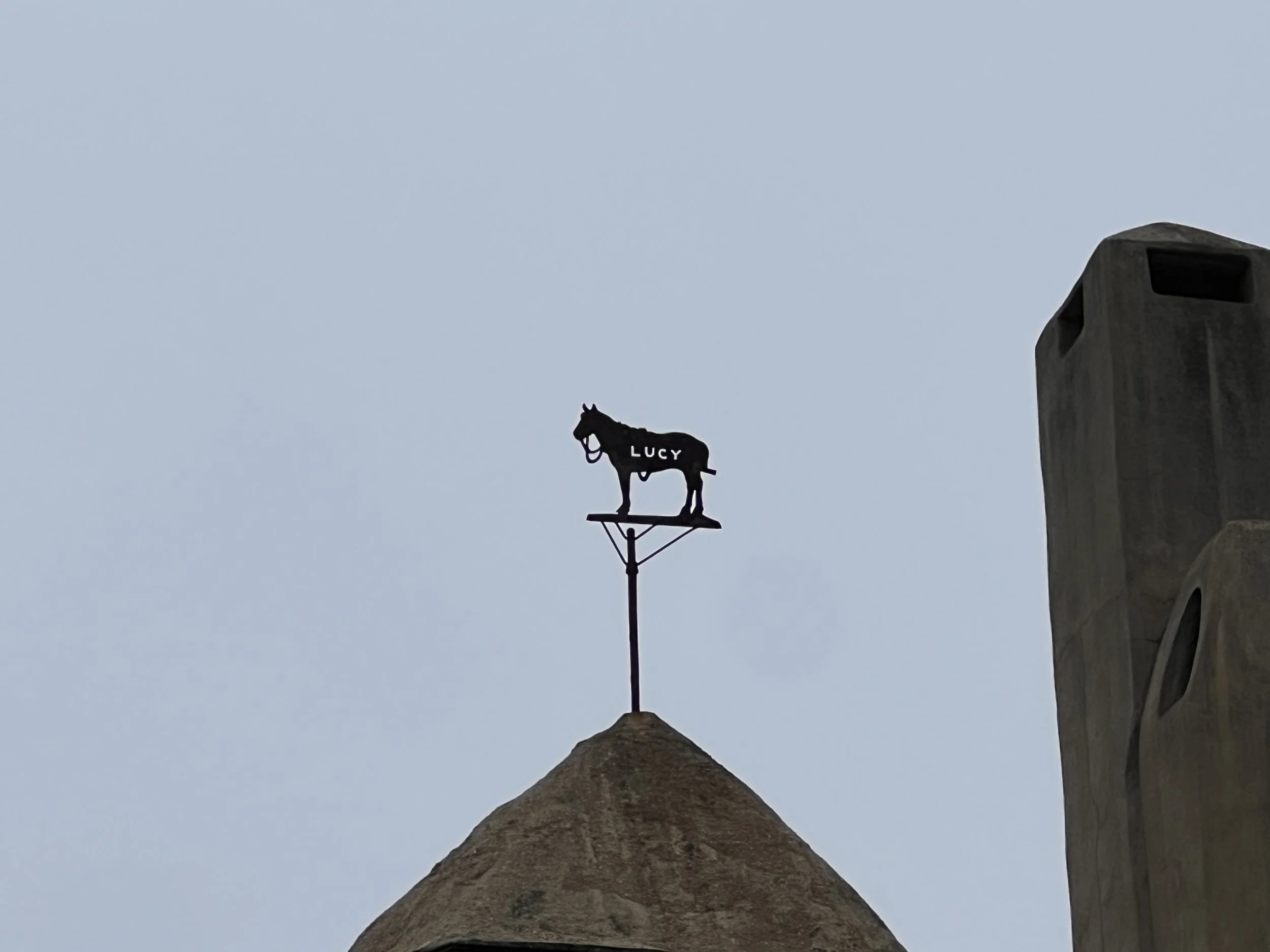 IMG_5708.jpeg