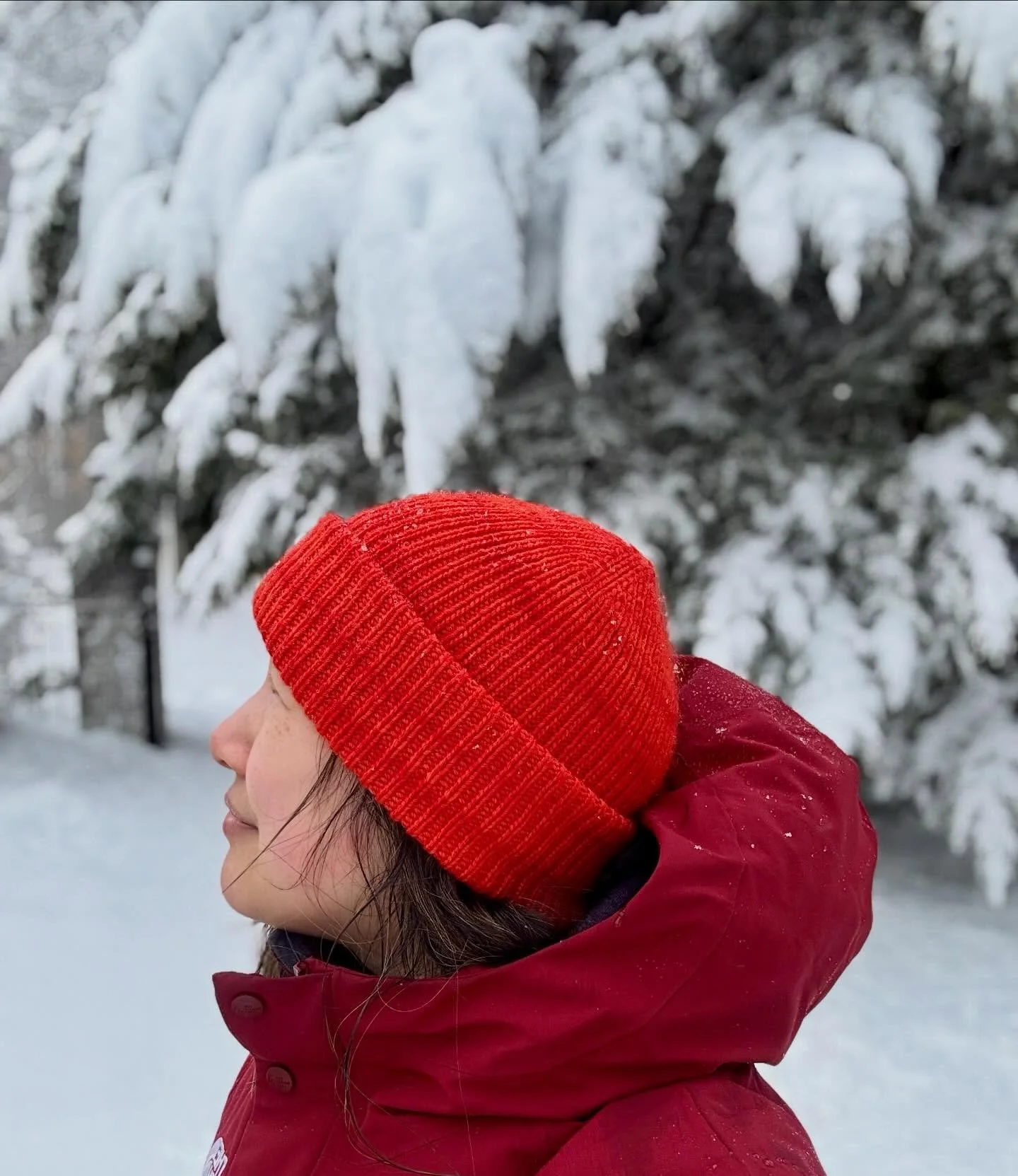 Definitely won&rsquo;t lose me in a snowstorm! 

My #espressobeanie by @sari_n_ kept me super warm and toasty throughout the multiple shoveling sessions and igloo mating sessions 😂 

Made in @coasttocoastyarnco in Rosehip 

[coasttocoast, beanie, kn