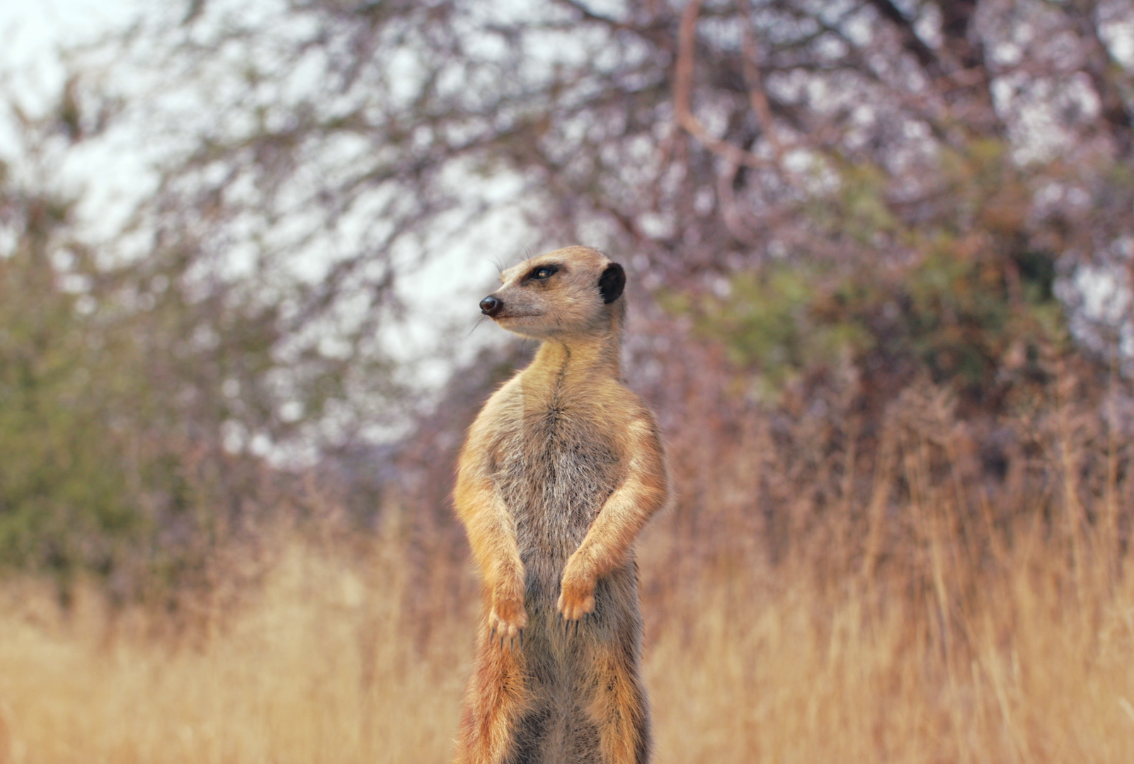 Debmarine Namibia | #Aye #Haiye