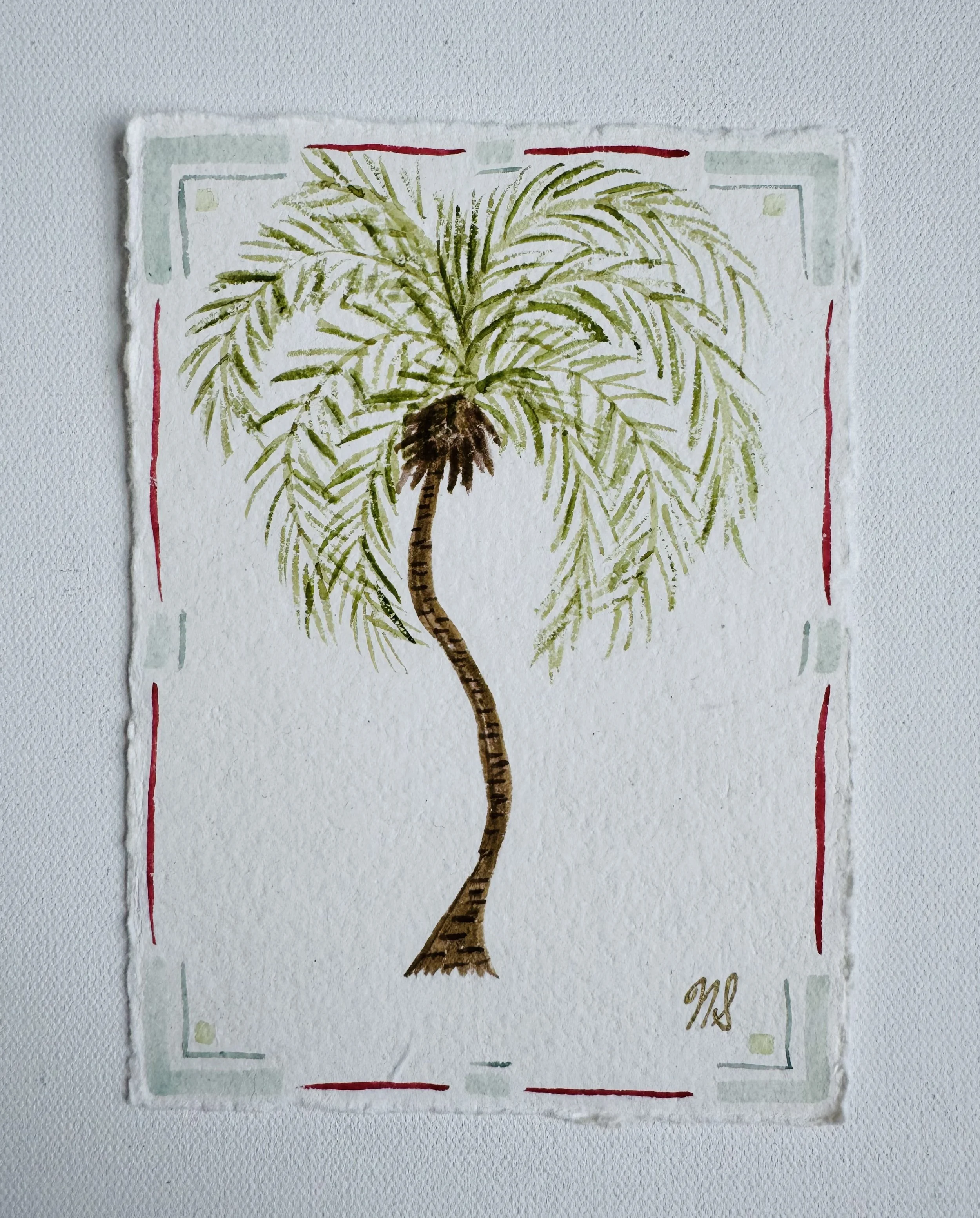Palm VIII
