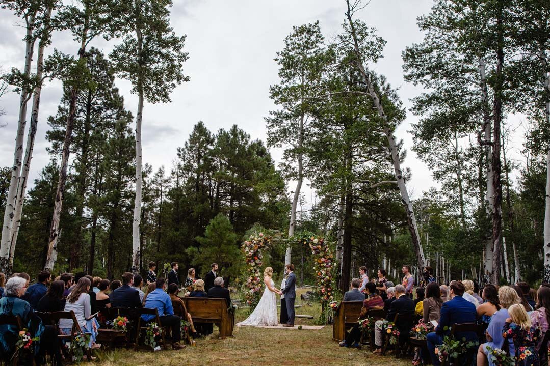 wedding in the woods.jpg