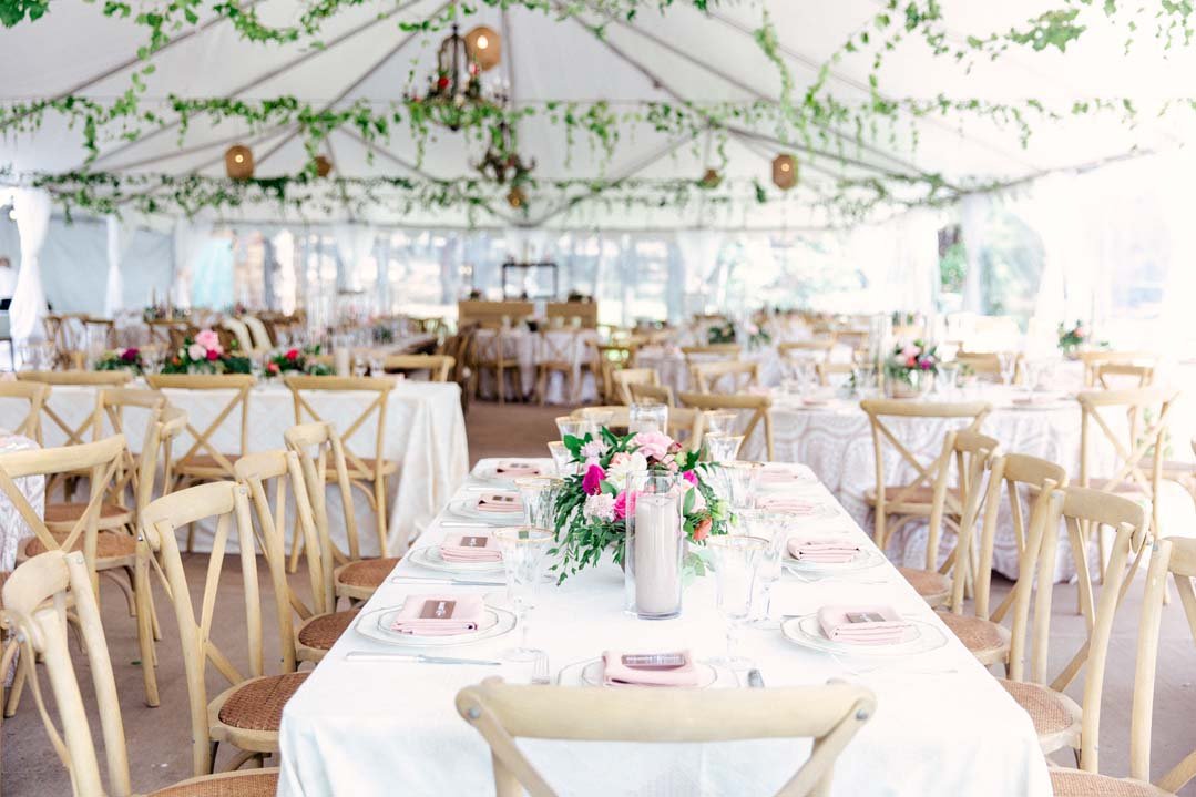 hanging ivy and floral in tent.jpg