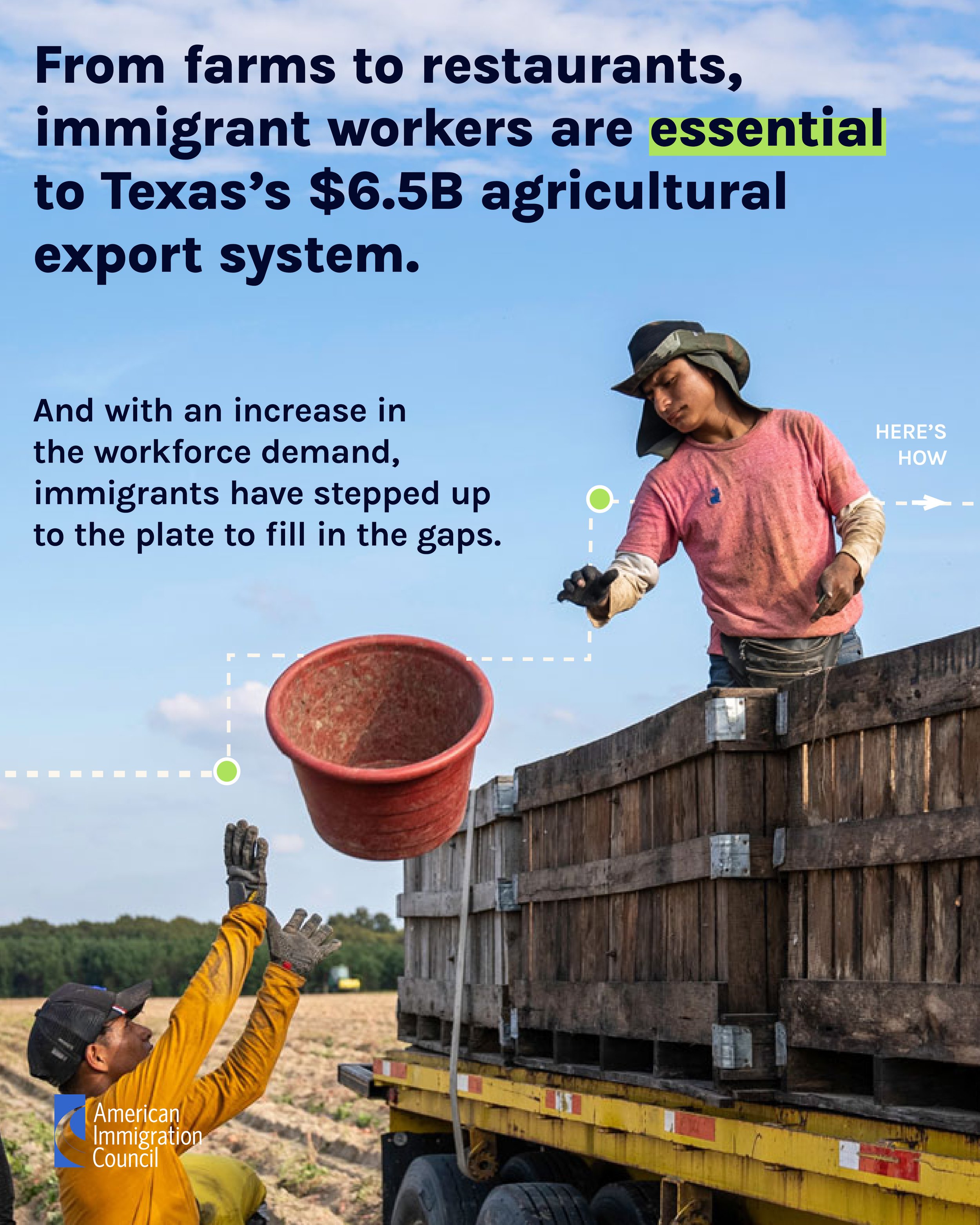 06.26 Texas Agriculture Repot.jpg