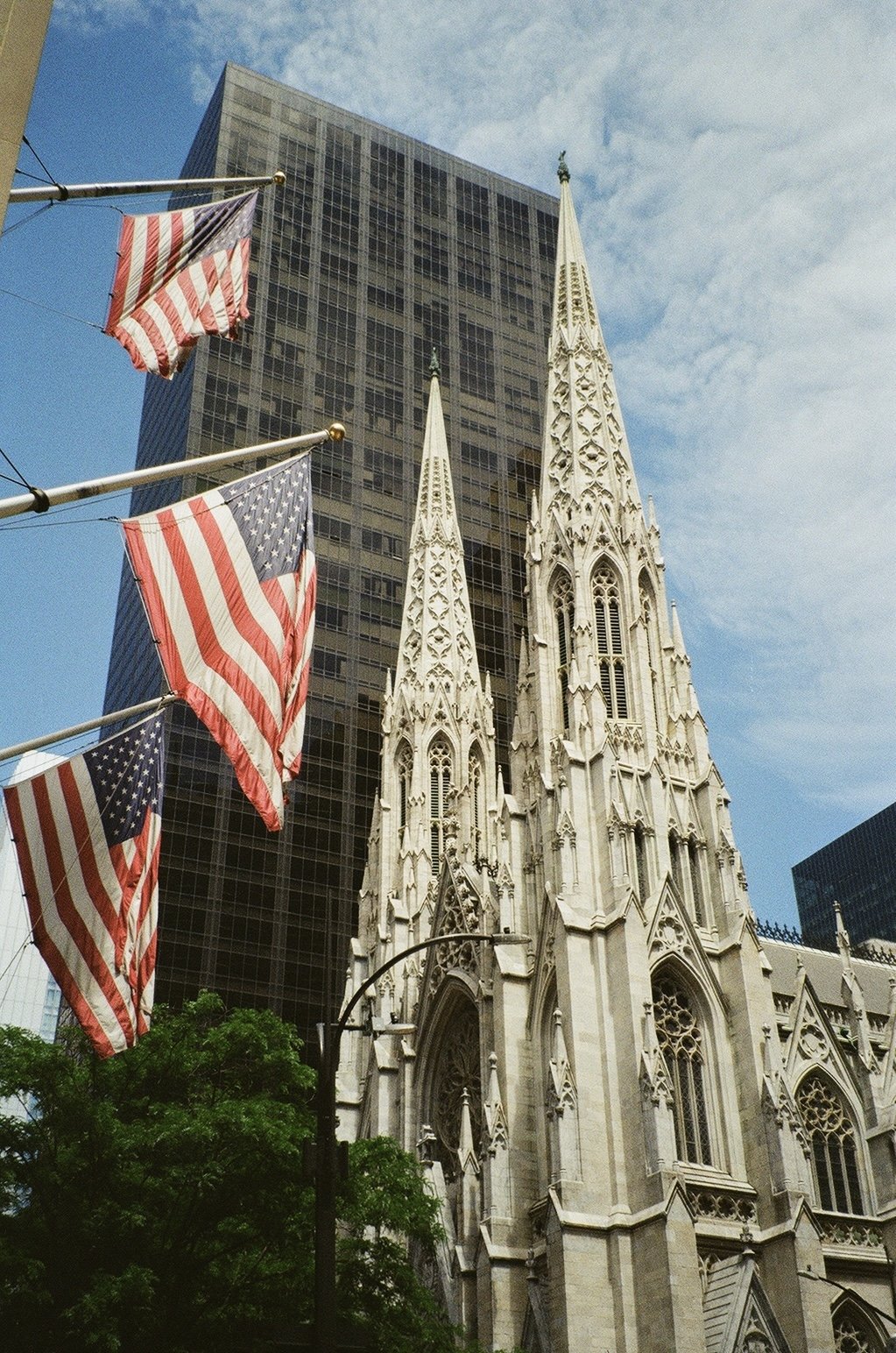 IMG_8367.jpeg