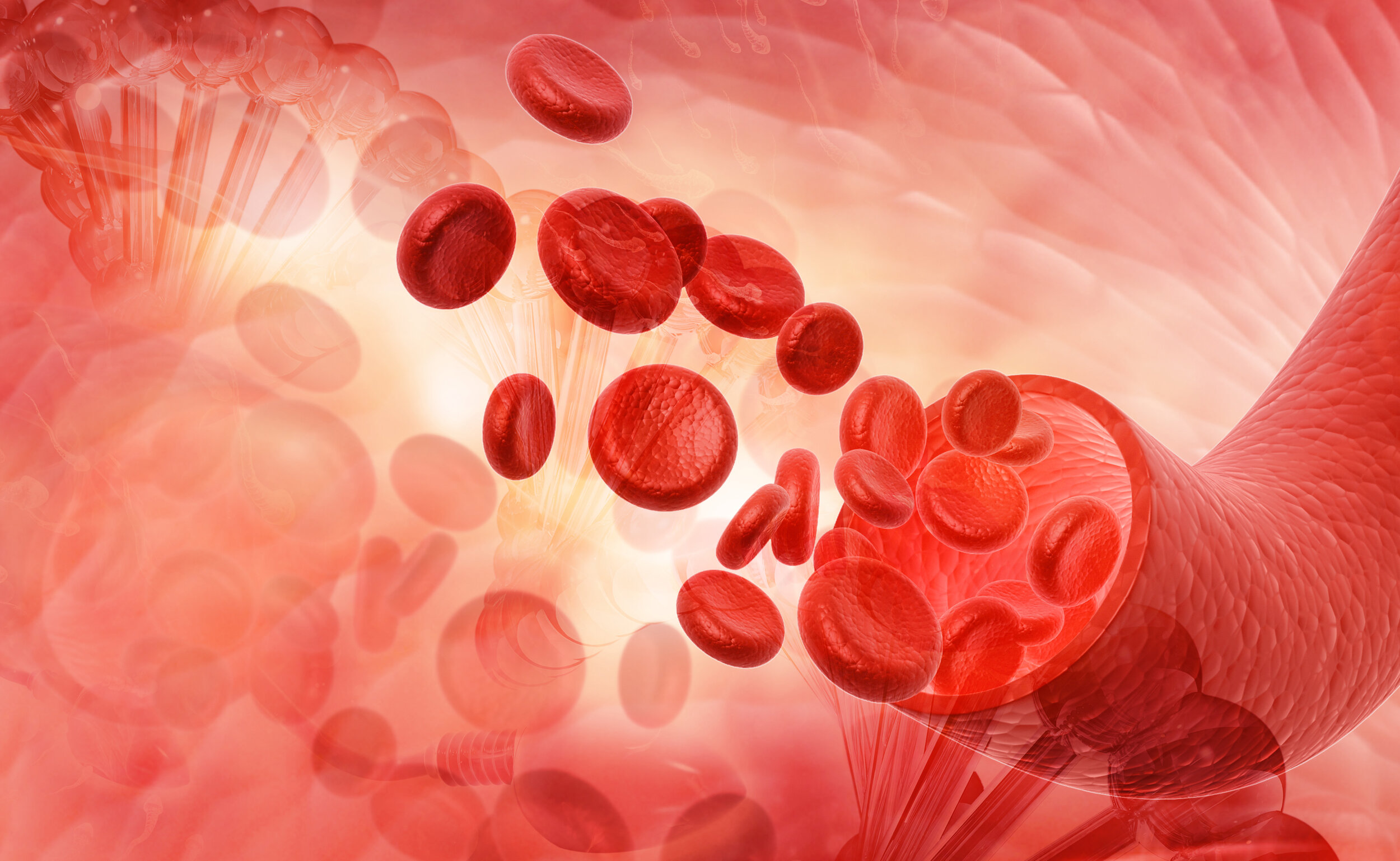 Анемия 2024. Клетки крови. Красная клетка. Кровяные тельца.