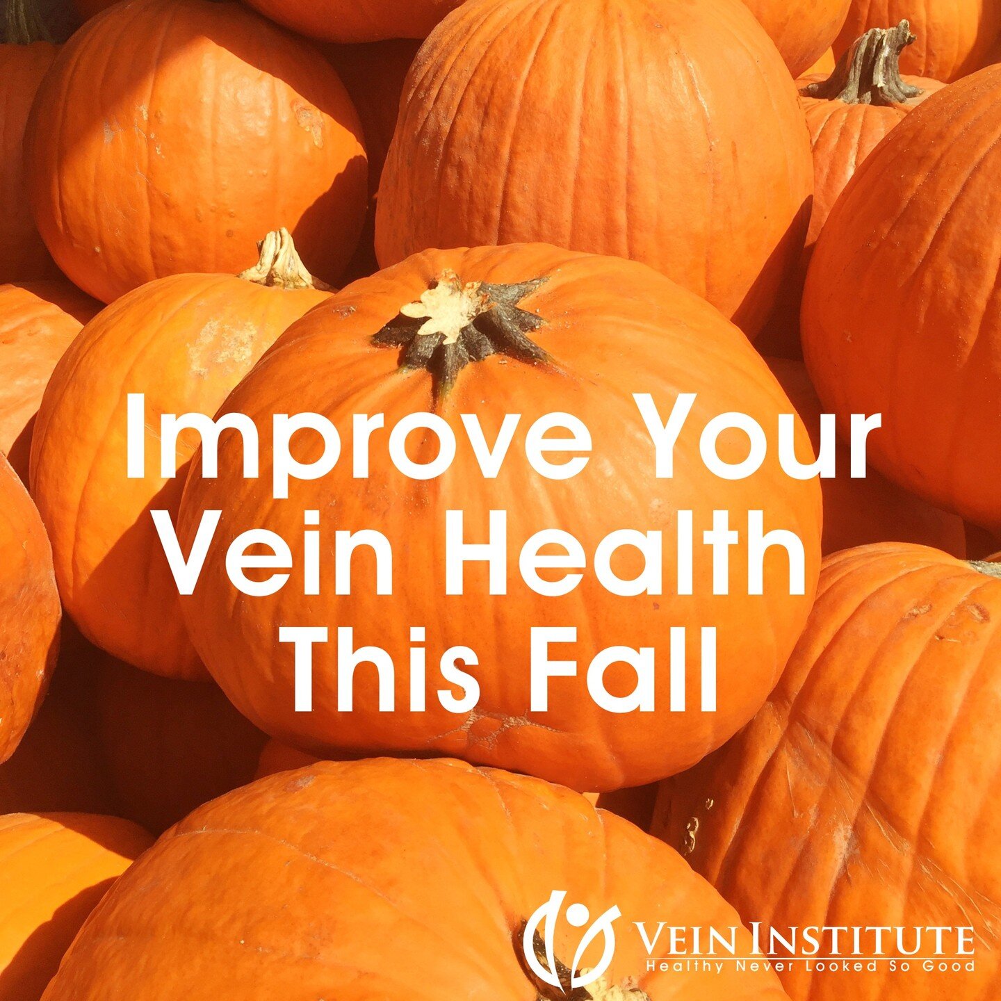 #PSL Season is here....and by that we mean Phlebologists Savings Legs 🎃 That's just as good right?

A top tip from our team to Improve Your Vein Health This Fall...Eat Autumn Foods!
What&rsquo;s not to love about the delicious bounty of fall? Crisp,