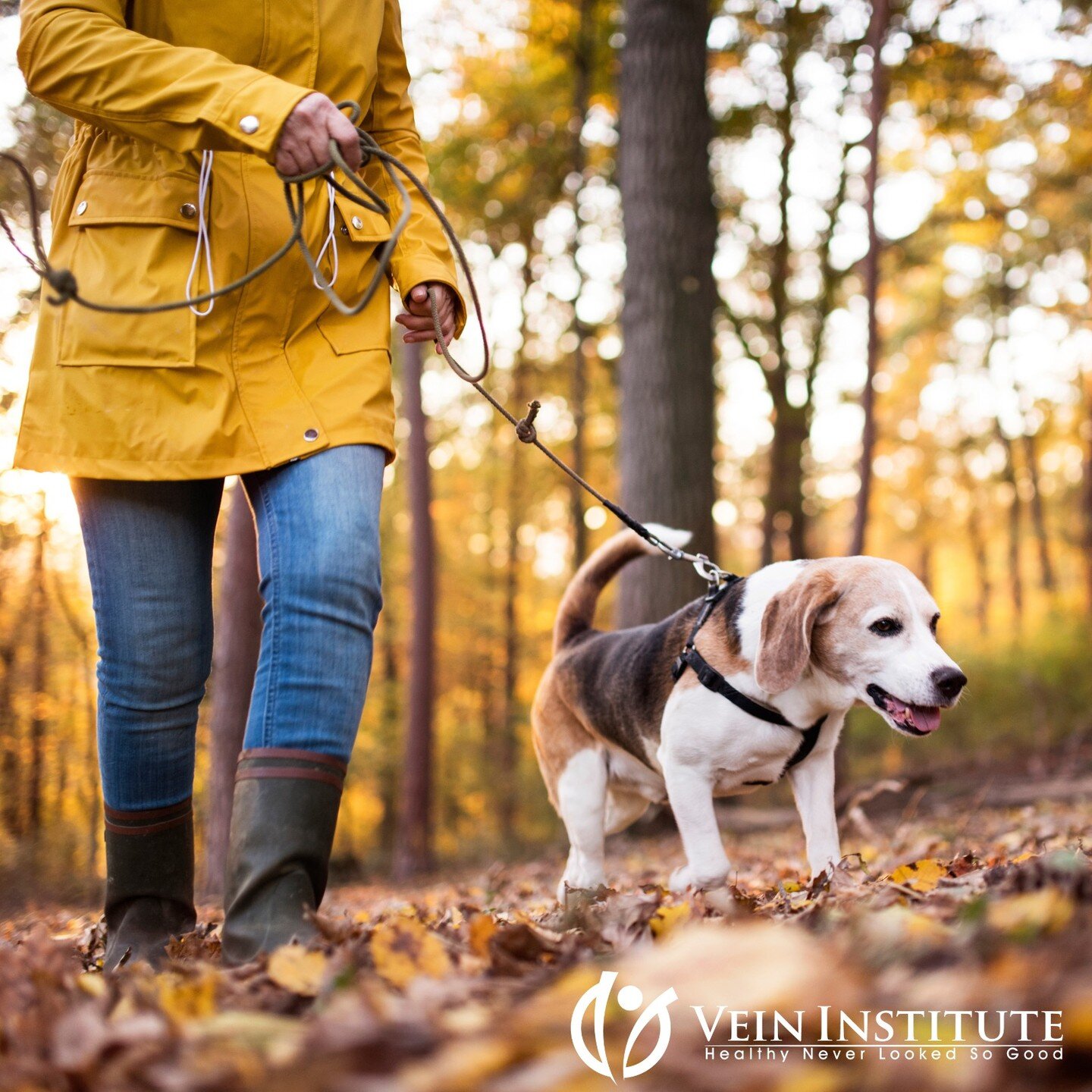 Here comes the cooler weather where you can go back to wearing long pants and leggings &mdash; but don&rsquo;t just cover your varicose veins up! A better choice is to start treatment now because Autumn is one of the best times of year to treat your 