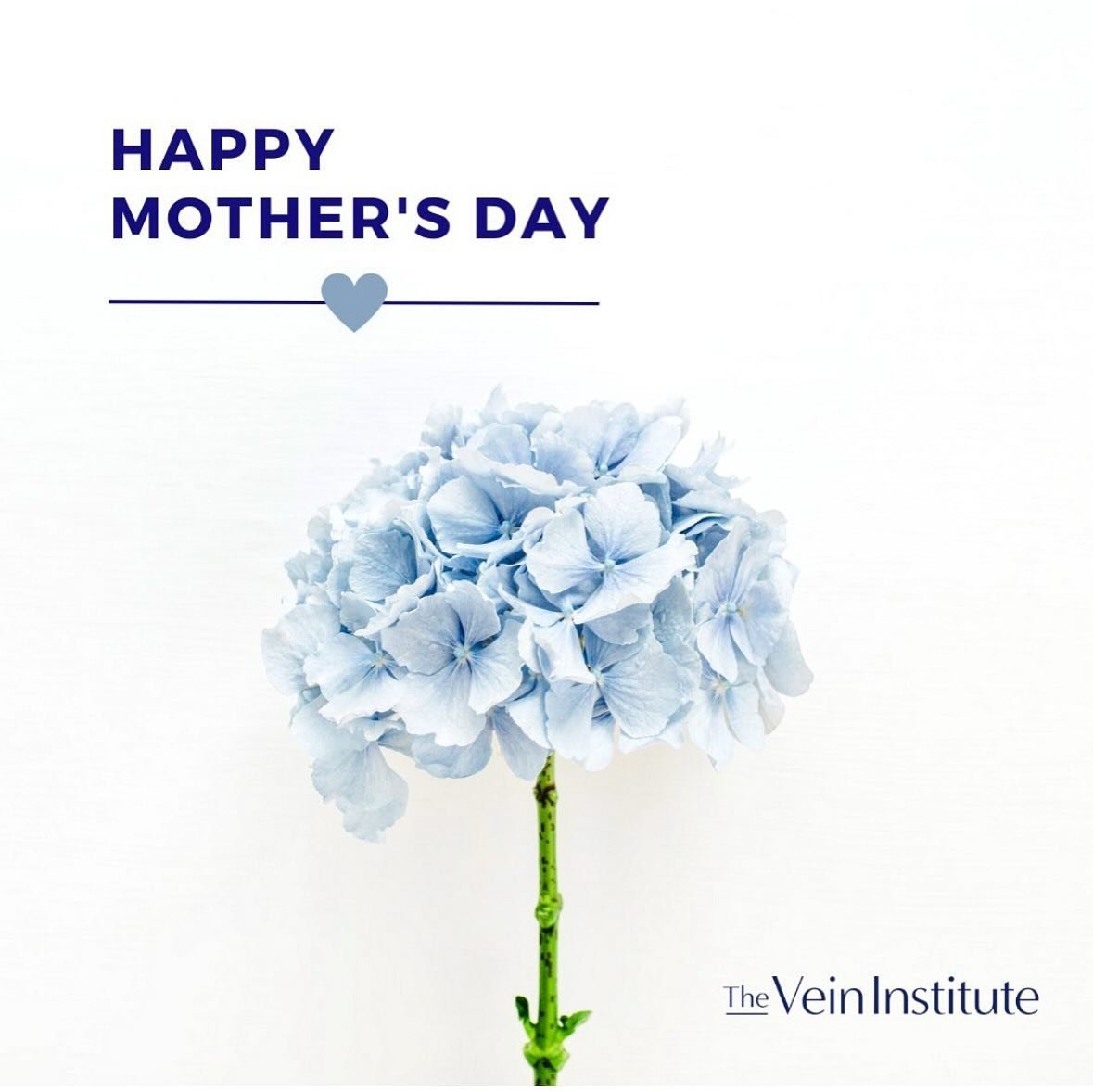 Happy Mother&rsquo;s Day from the Vein Institute! We hope you have a wonderful day filled with love from your family and friends🩵💐