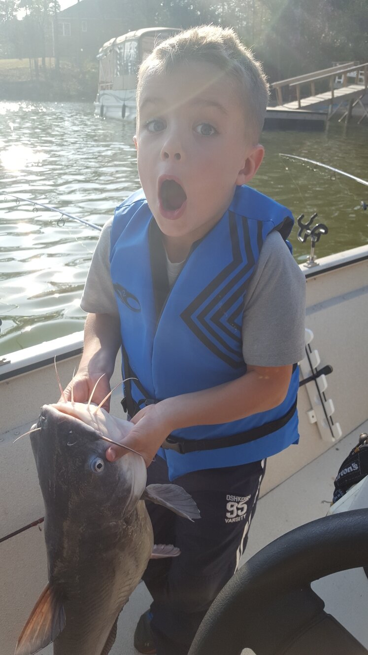 A large catfish
