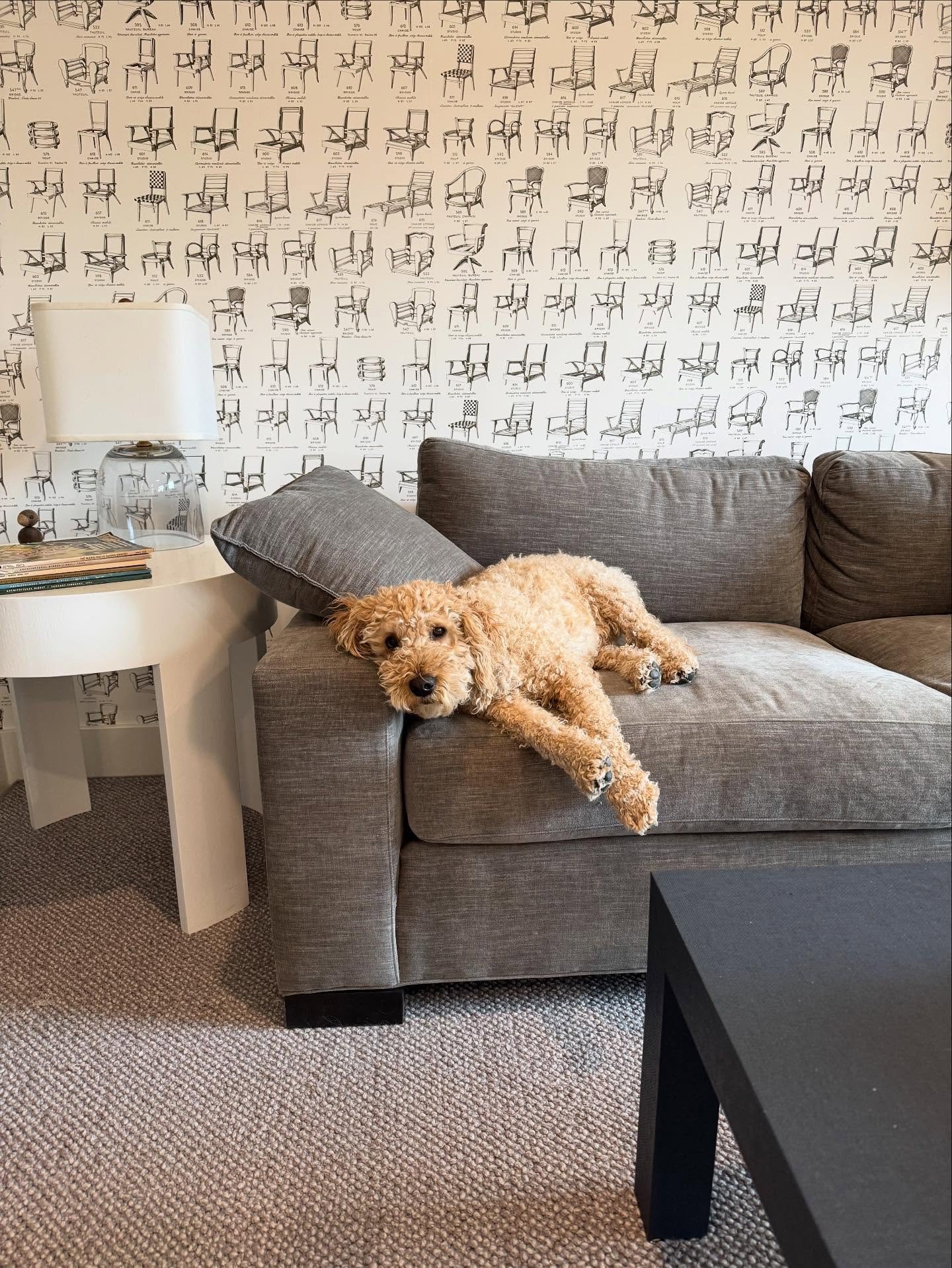 Teds Corner Time is back next week! Our weekly segment where Ted helps answers all of your design Q&rsquo;s. 

Got questions? Drop them below and Ted might just answer yours 👇💬