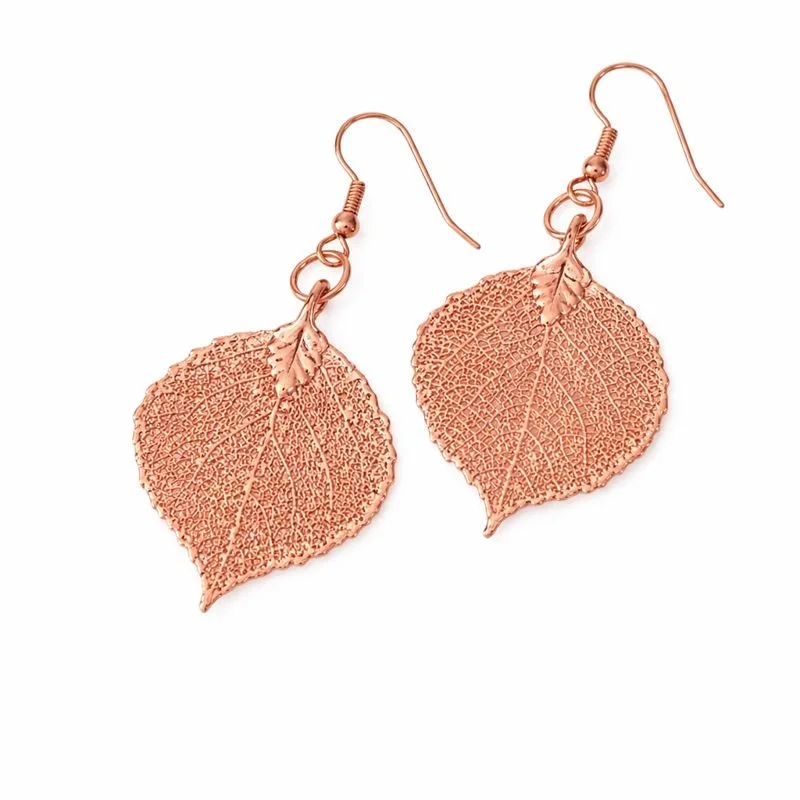 3 rose ear on white.jpeg