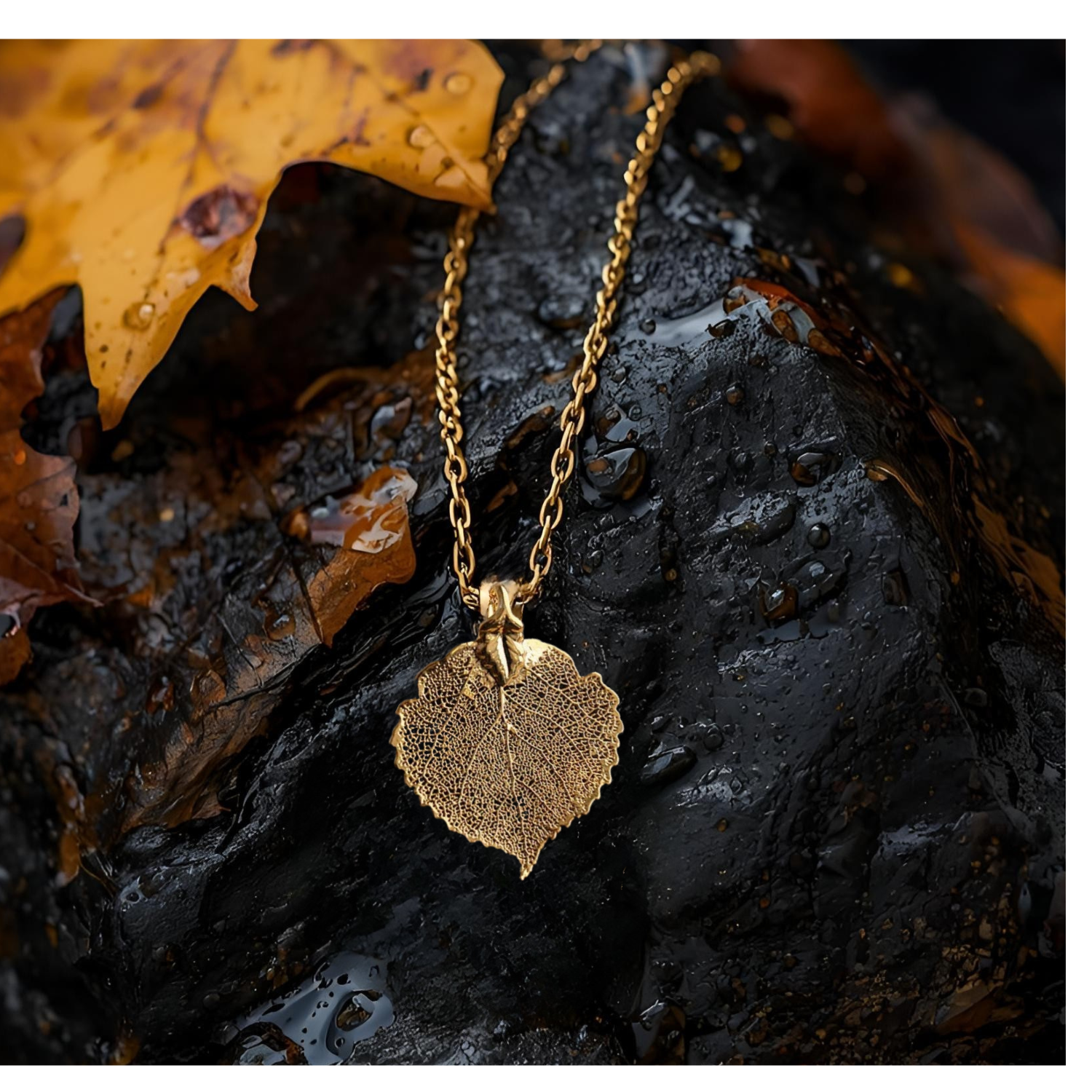 NECKLACE ON ROCK.png