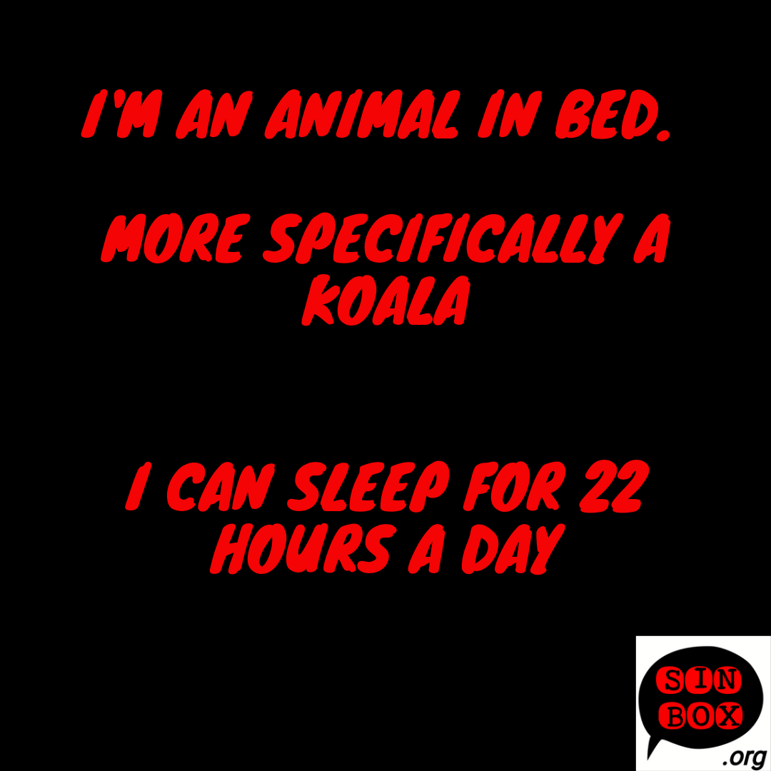 20220418 animal in bed.png