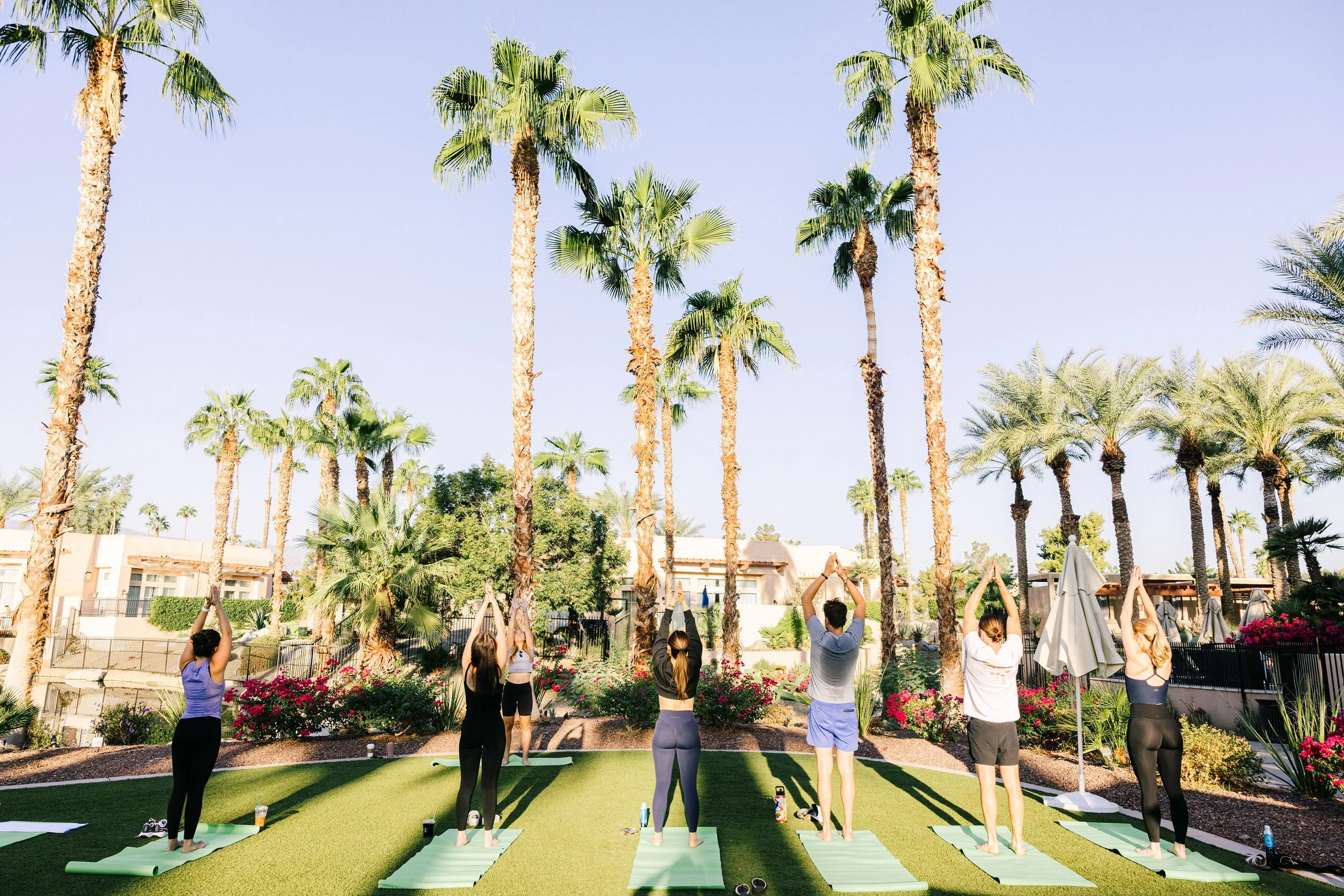 Group of people practicing yoga outdoors on mats, surrounded by palm trees and flowering bushes, with sunny clear sky.