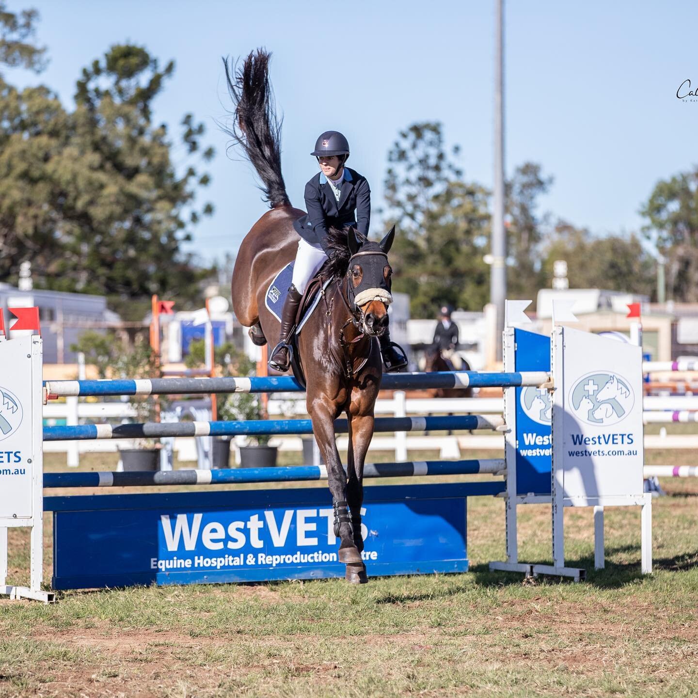 Tail flick on point 👌🏼#psslevilensky 📸 @calicopony