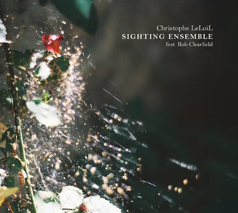 leloil_christophe_ Sighting.jpg