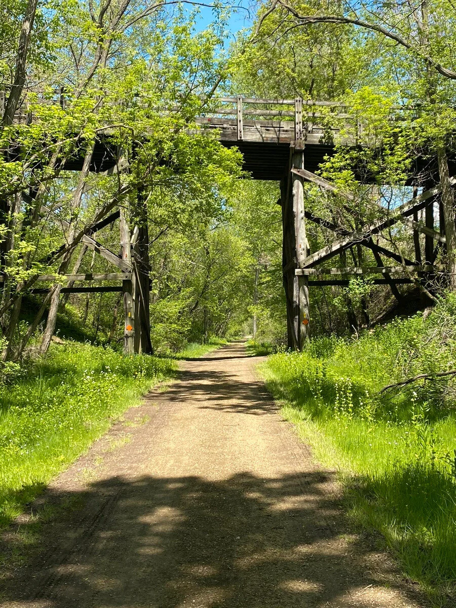 Grassroute Middleton, WI — Wheel & Sprocket