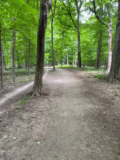 Grassroute Park Ridge, IL — Wheel & Sprocket