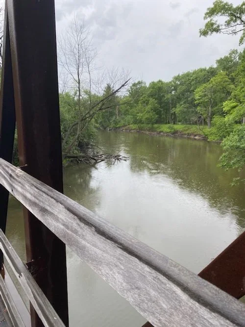 Grassroute Park Ridge, IL — Wheel & Sprocket