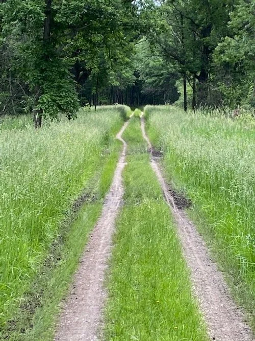 Grassroute Park Ridge, IL — Wheel & Sprocket