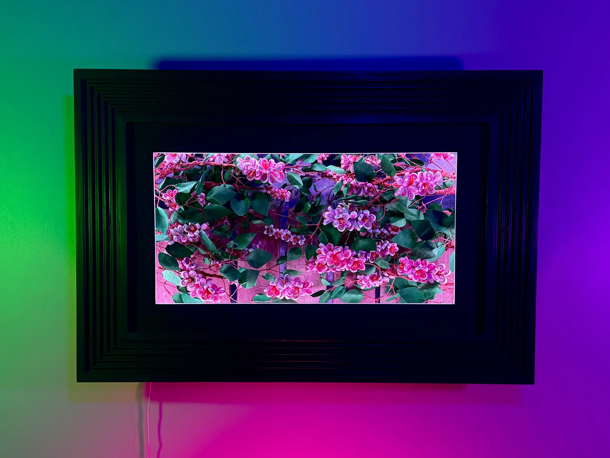 IMG_3204.jpeg