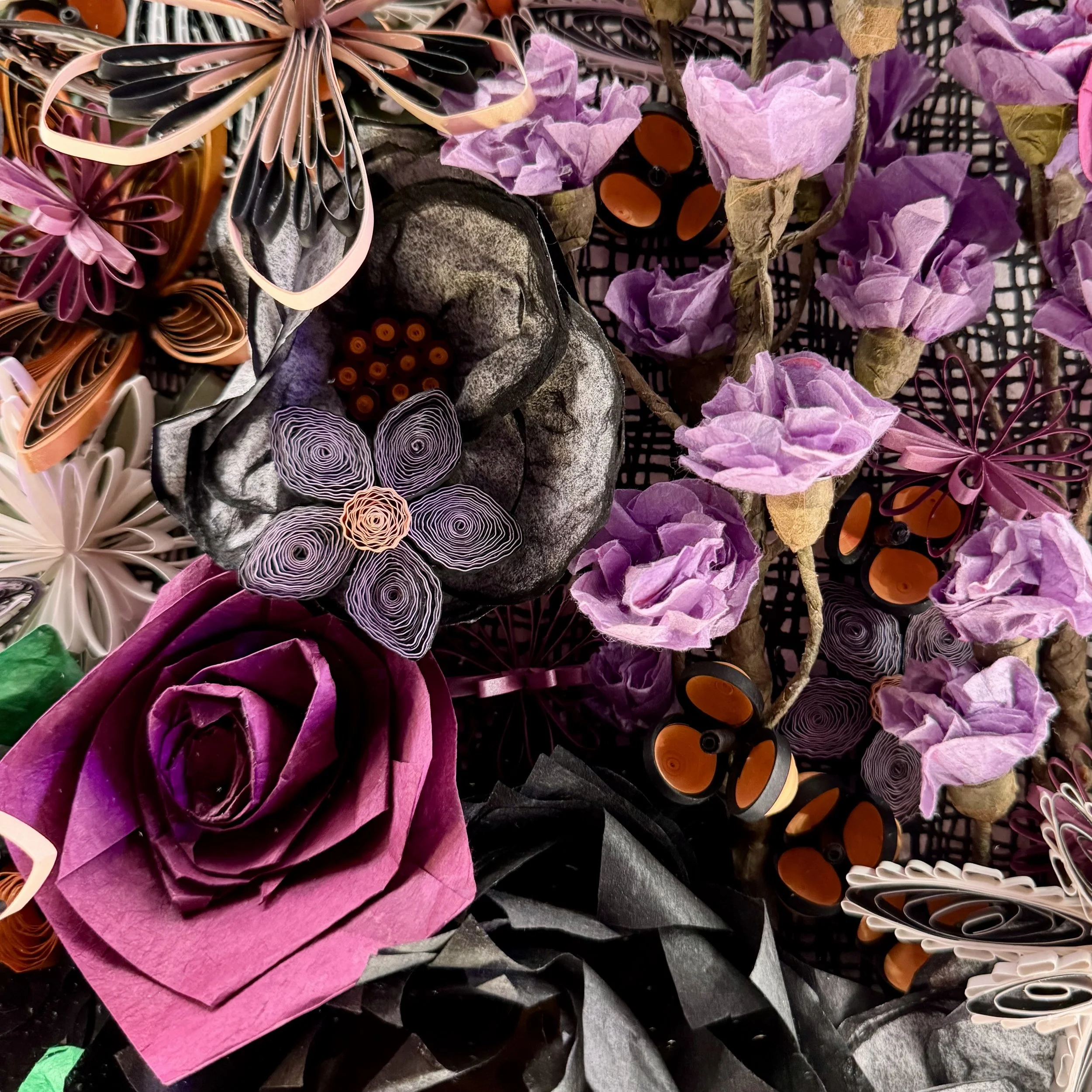 IMG_3040.jpeg