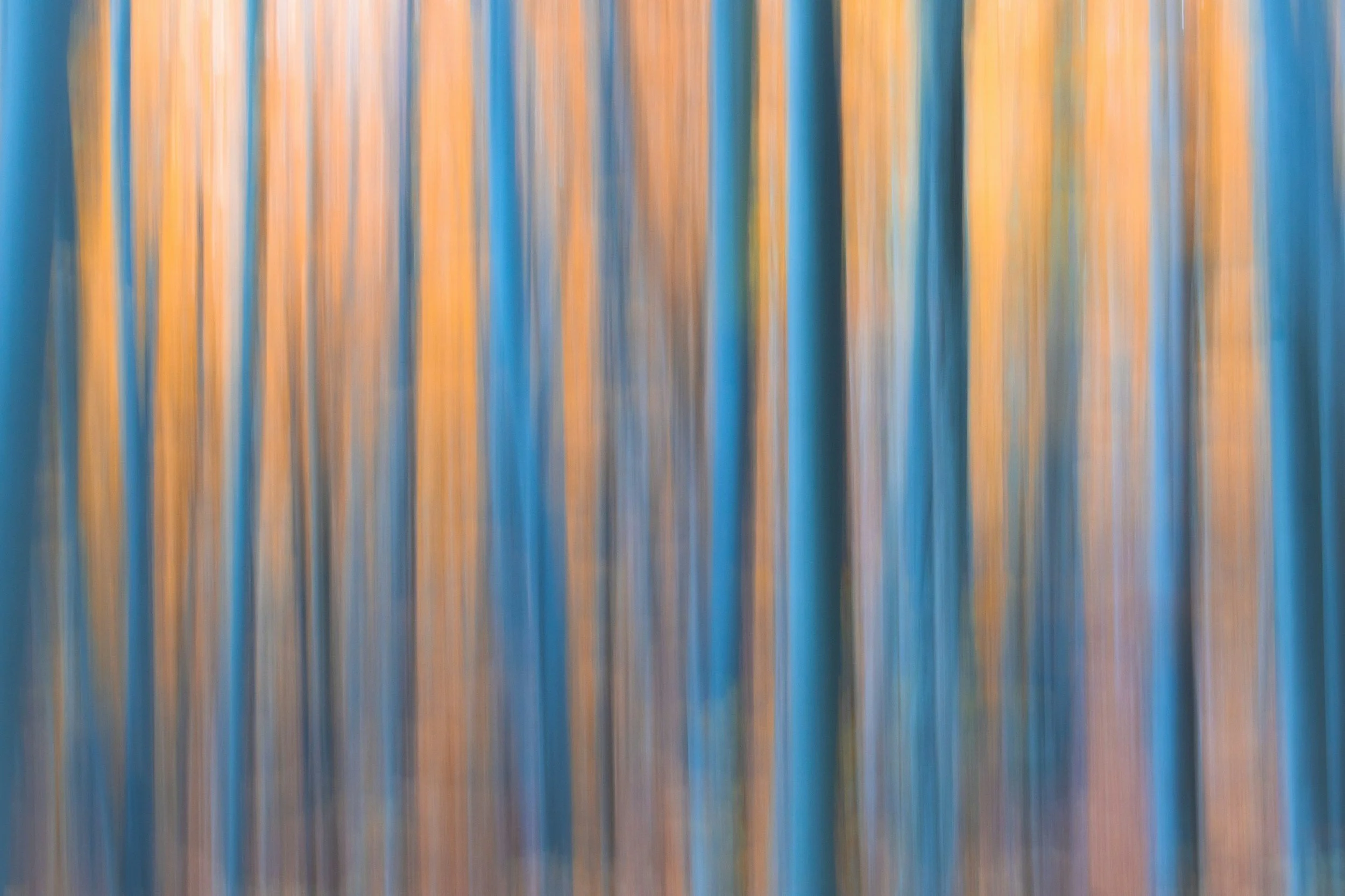 The Rising Opportunity Cost of Being Human