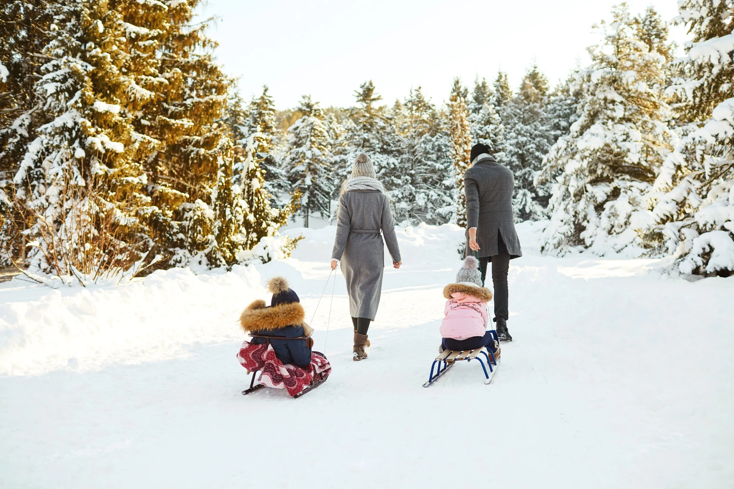 Wonderful Ways to Enjoy Winter