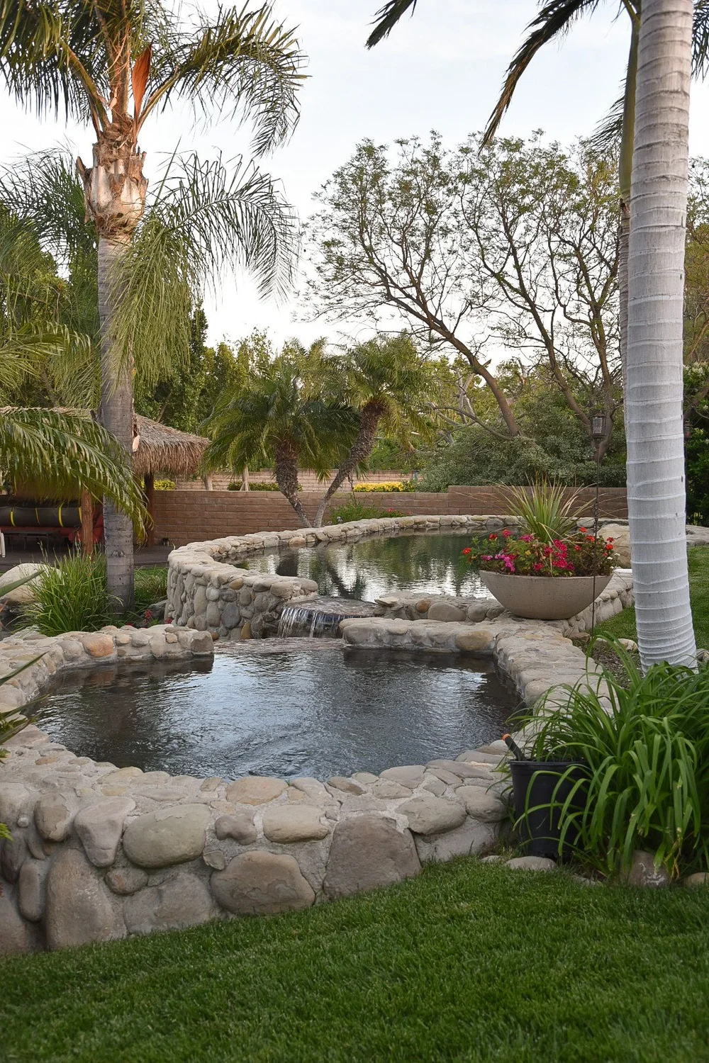 A round stone-faced spa sits beside lawn and palms, with a raised stone spillway behind it.
