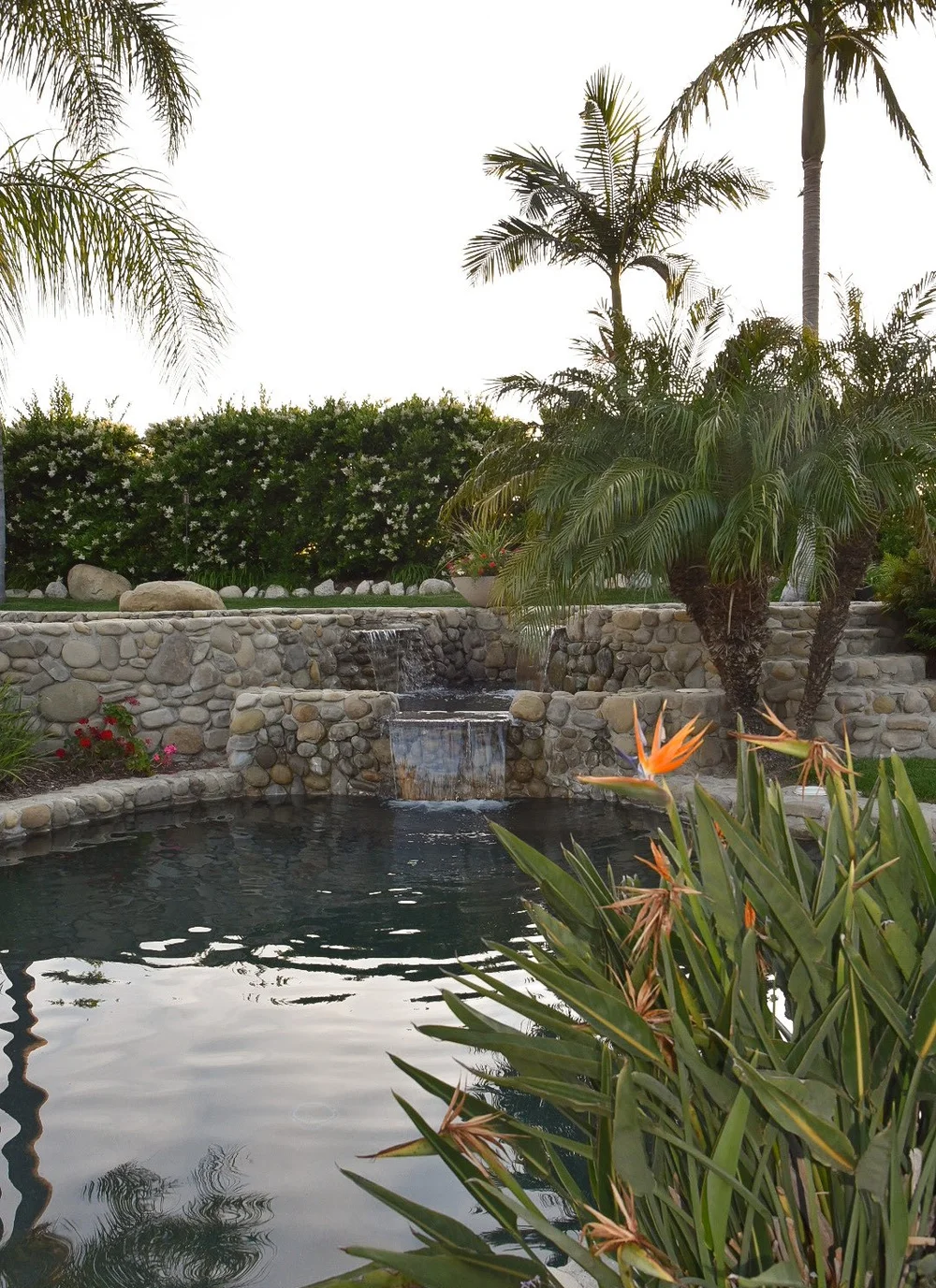 Water spills from a stone wall into a curved pool framed by palms and flowering tropical plants.