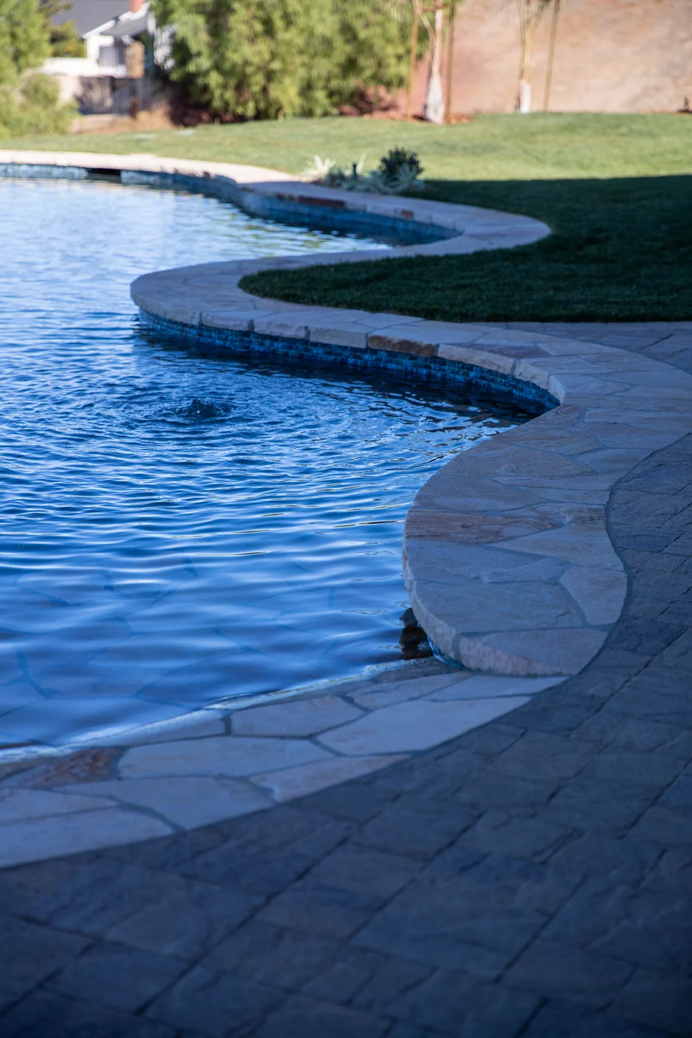 Blue pool water beside sweeping stone coping, a paved deck and a curved lawn edge.