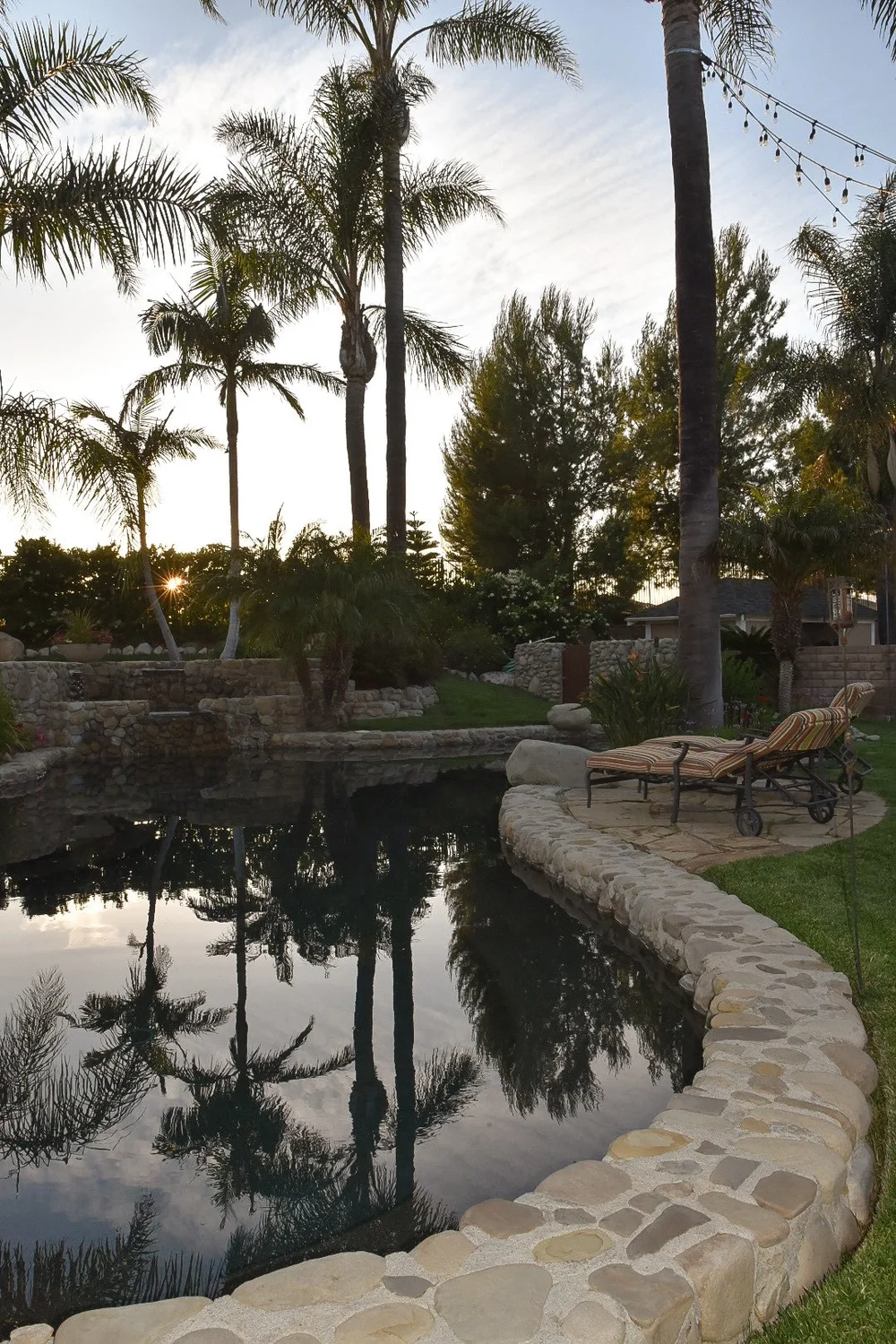 Palm trees reflect in a freeform pool bordered by irregular stone coping and poolside lounge chairs.