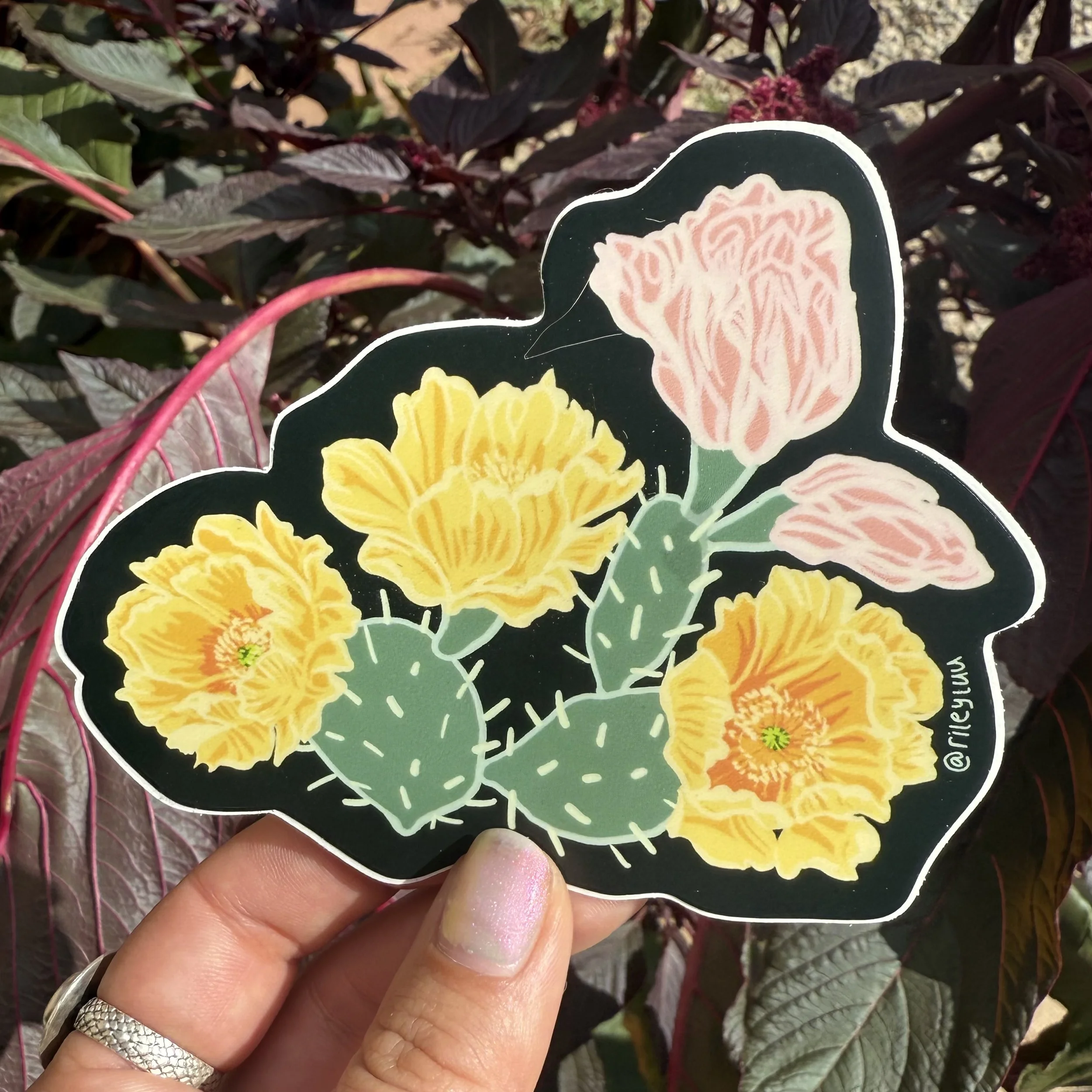 Prickly Pear Sticker