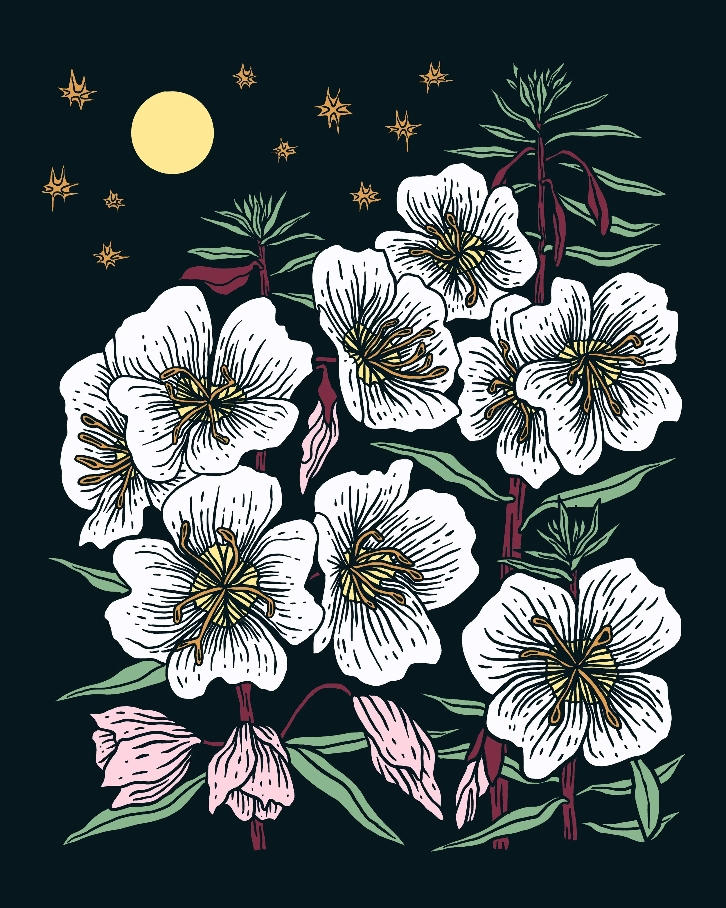PREORDER - Desert Primrose // Giclee Print