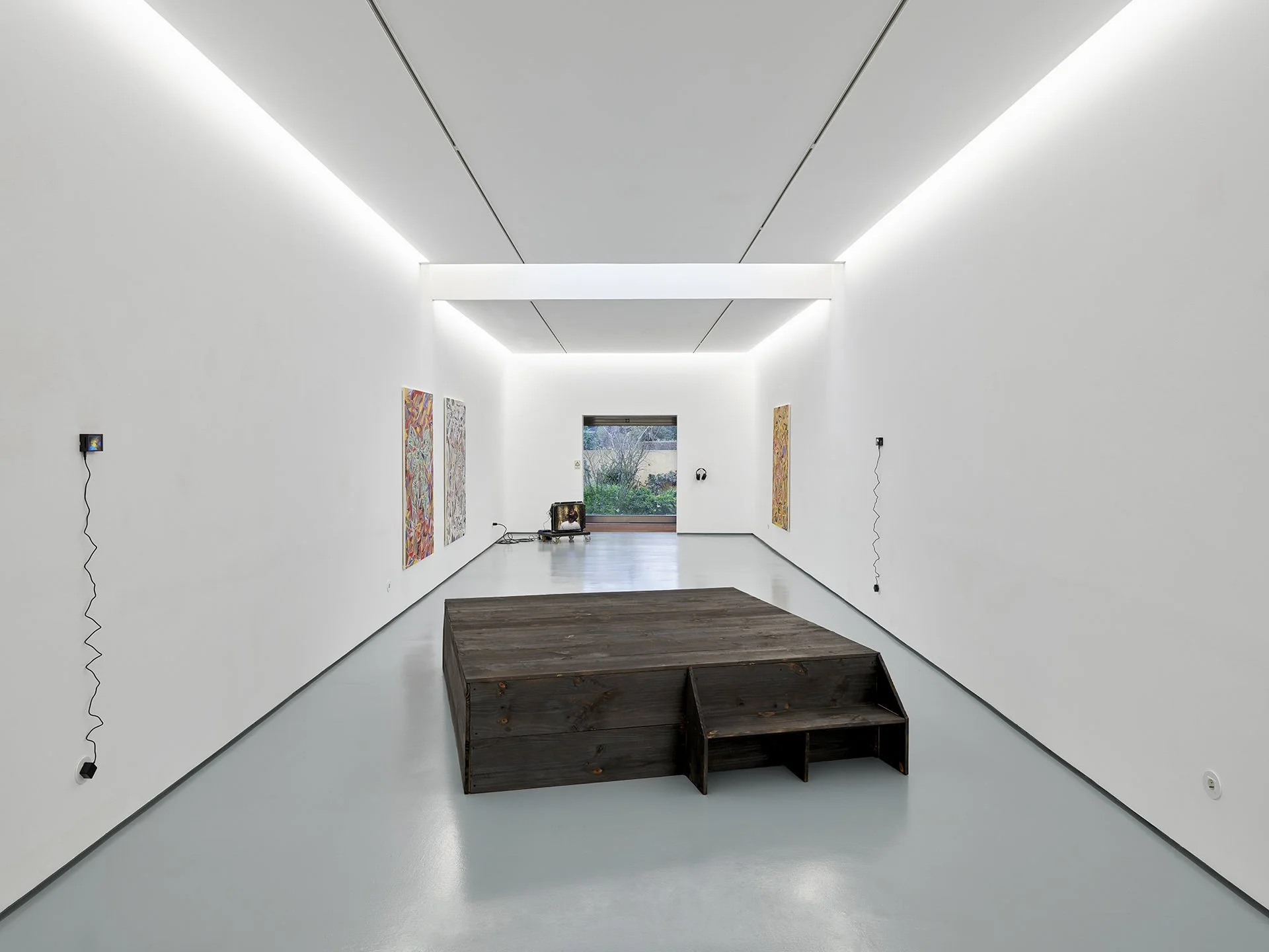 Arlequim_QA_Musa paradisiaca_2.jpg