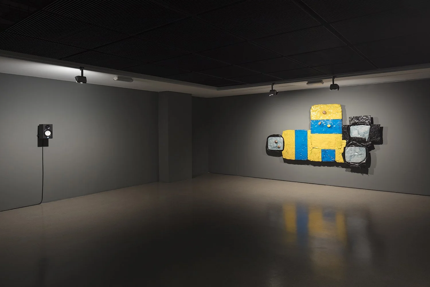 6.The I of the Beeholder_Fundação Carmona e Costa_Musa paradisiaca_2020.jpg