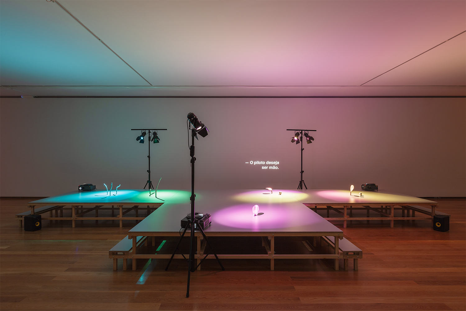 5.Curveball Memory_Musa paradisiaca_GMP_2018.jpg