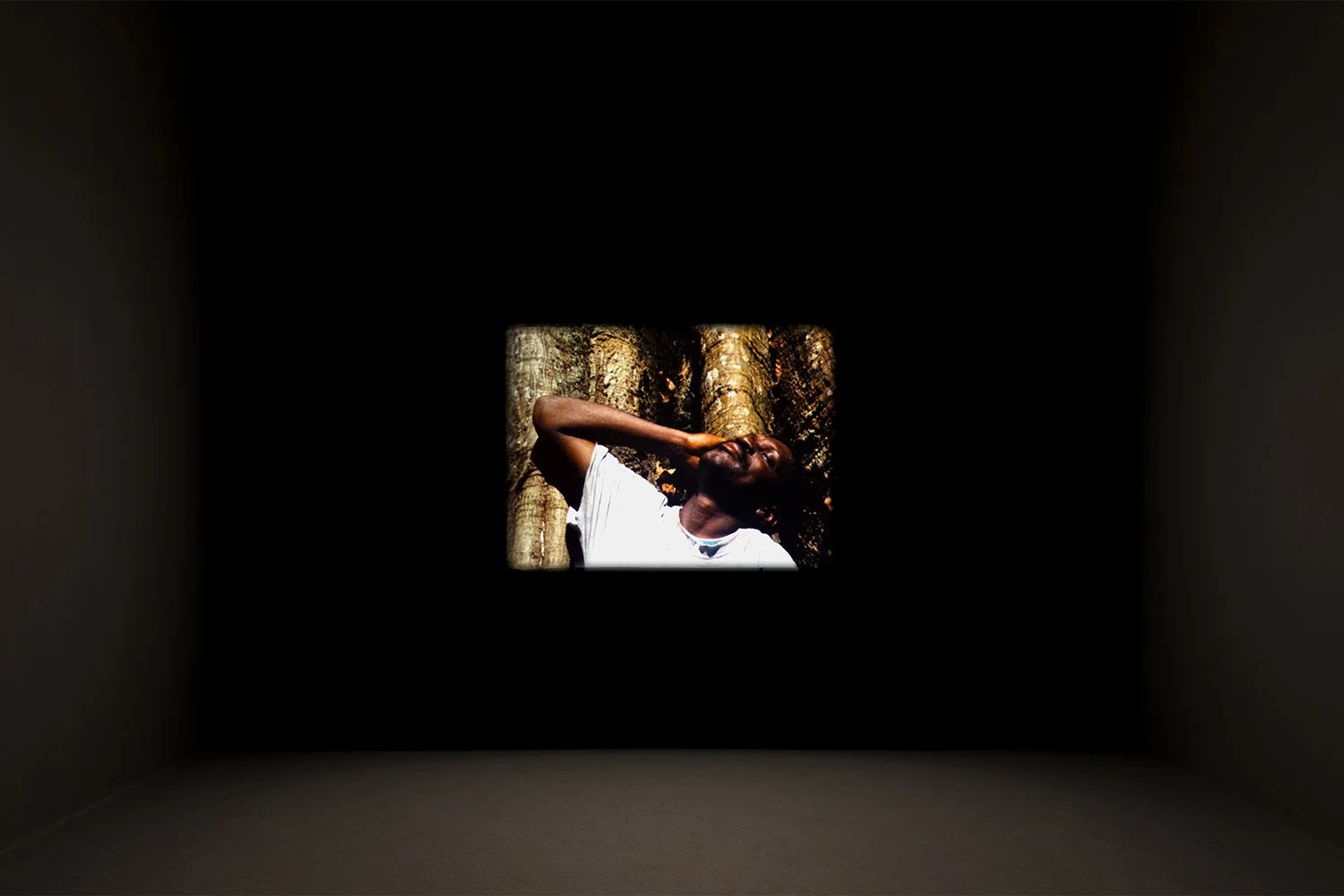 1_Hunting scene_PNA_Musa paradisaica_2013.jpg