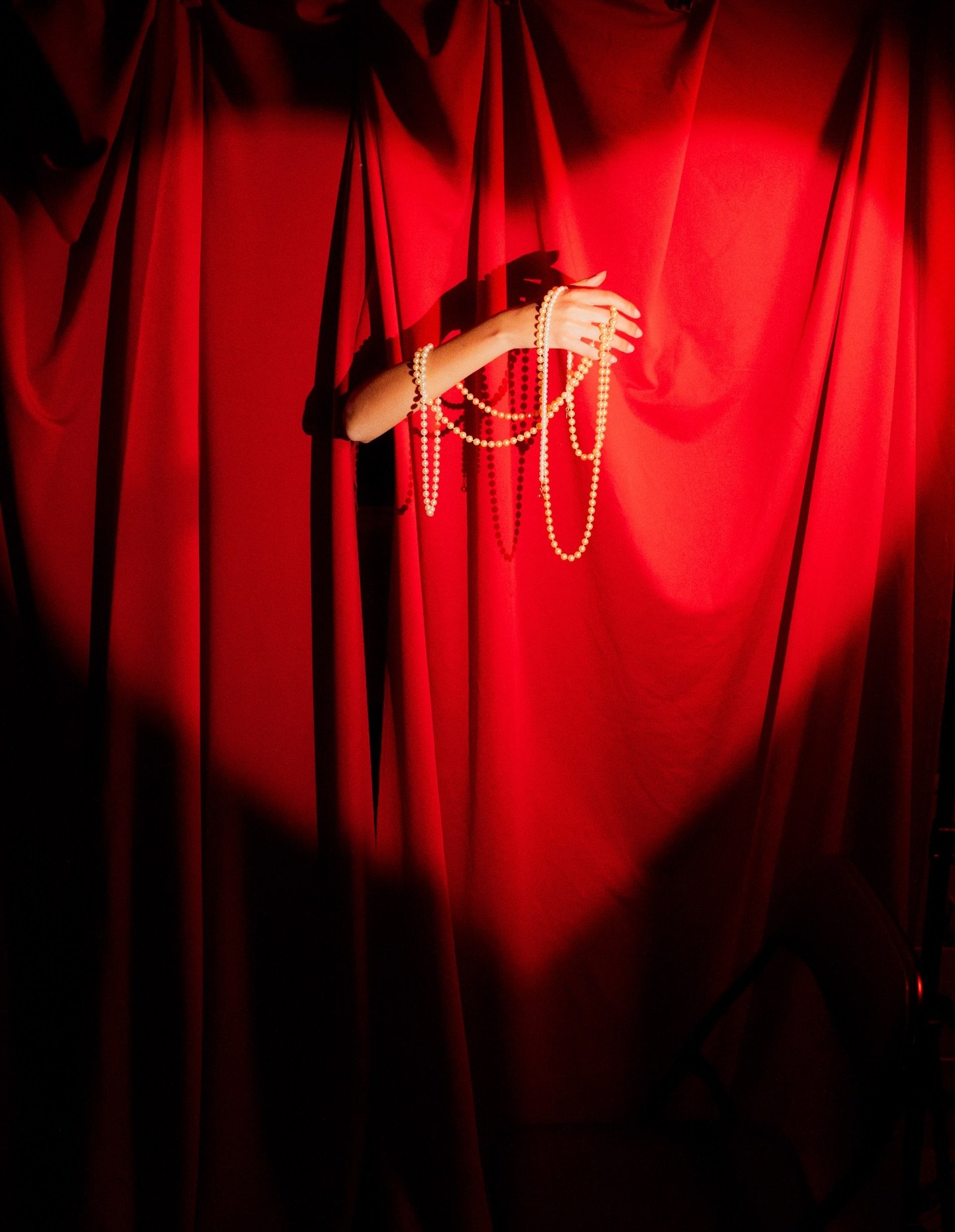 More from my Old Hollywood shoot with @alexandra.asaad 

#OldHollywood #BlackNoirPhotoshoot #OldHollywoodGlamour #TorontoBaisedPhotographer #TorontoBaised