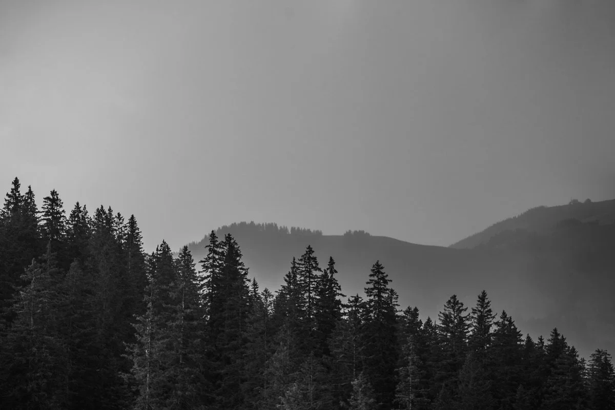 DSC07949-1.jpg