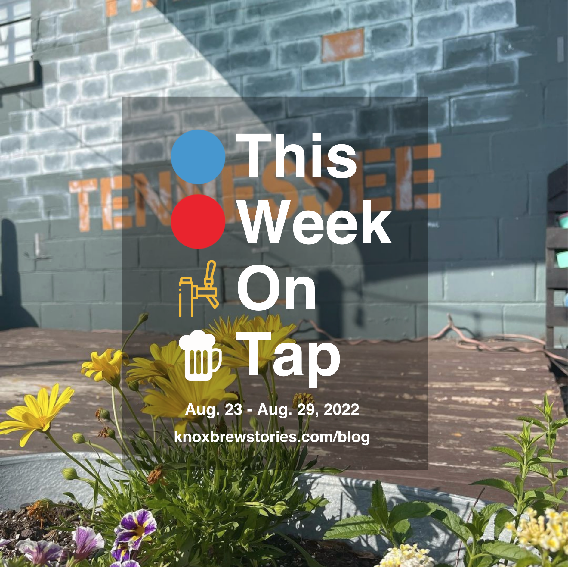 This Week On Tap: 08/23 - 08/29