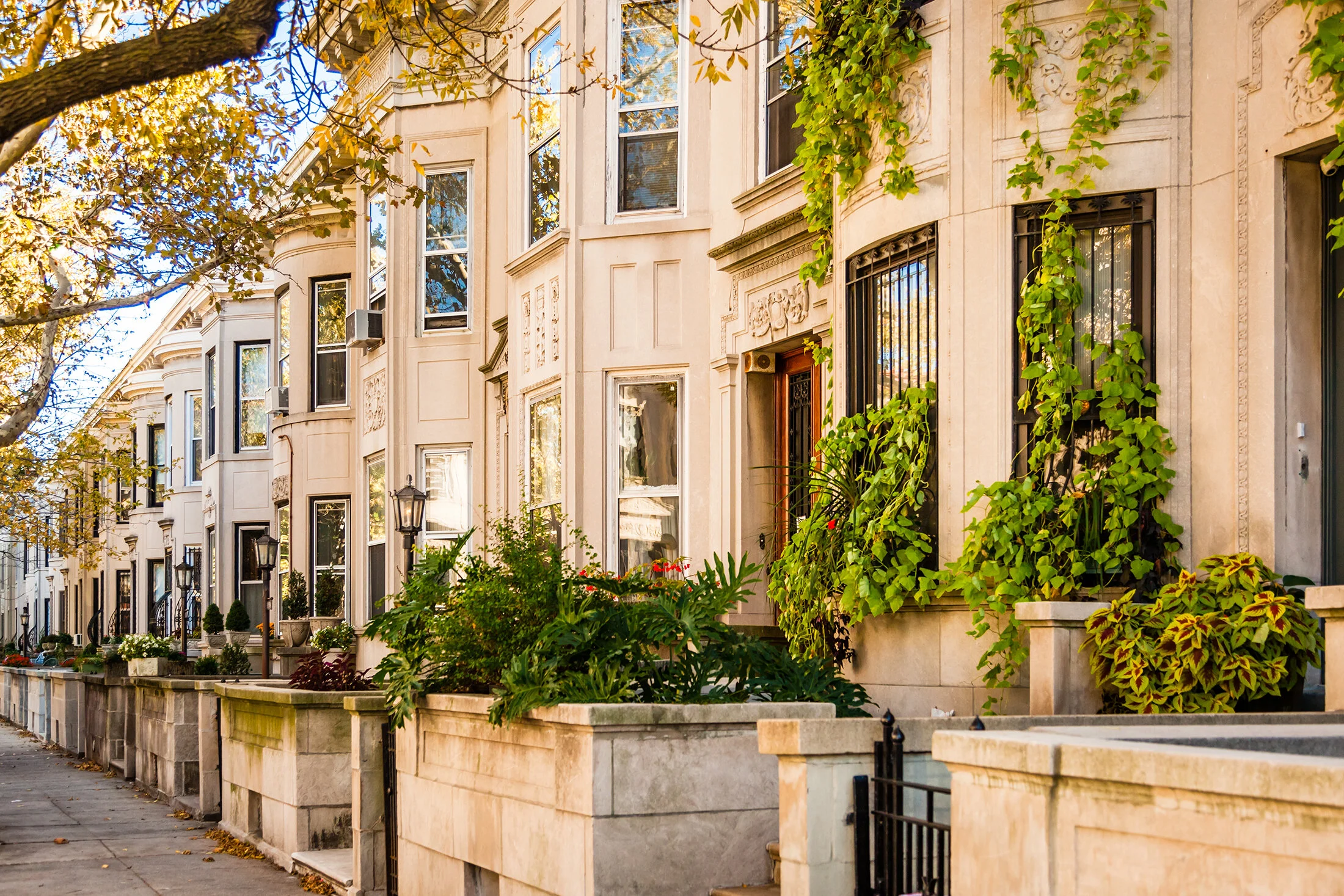 Prospect Lefferts Gardens — 125 Maple Street