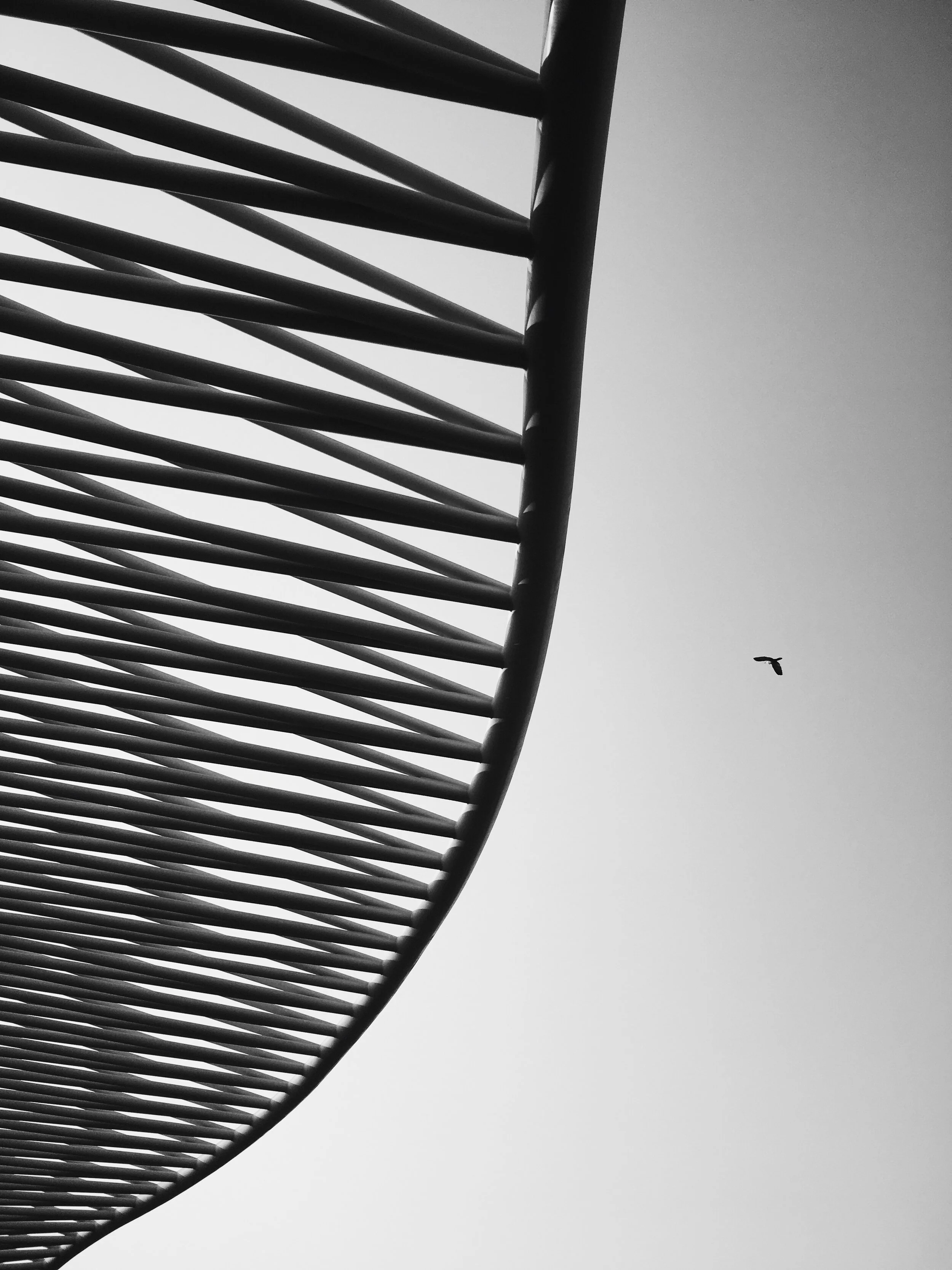 BA9CB2AA-9840-41C4-9524-FDB1CA51C4B6.jpg