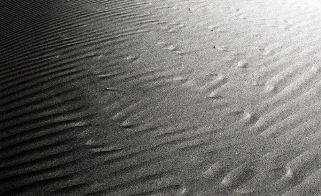 2019-BW-022.jpg