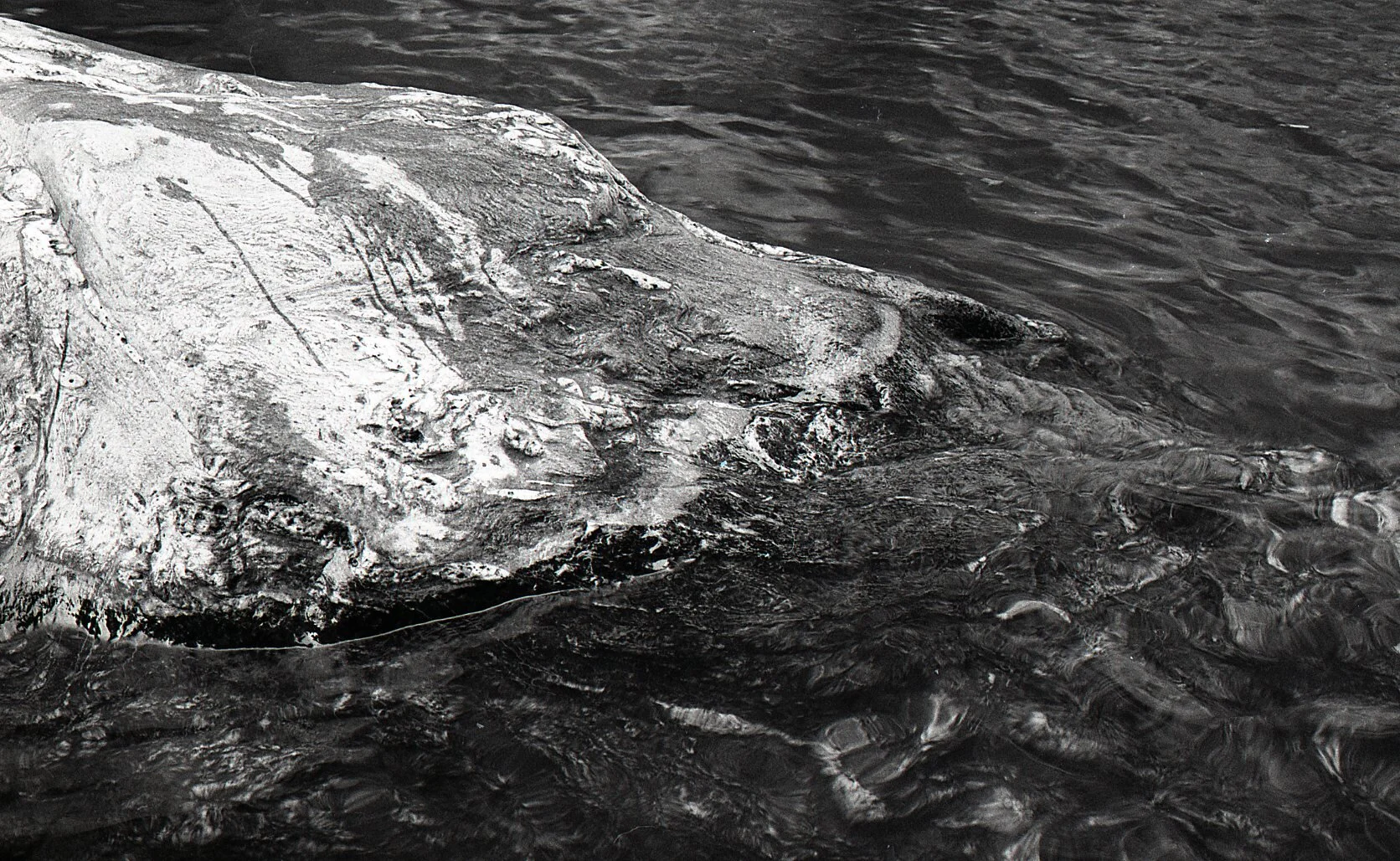 2016_BW-071.jpg