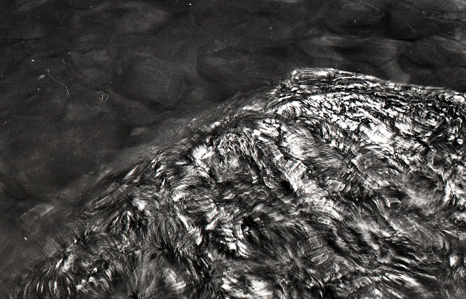2016_BW-070.jpg