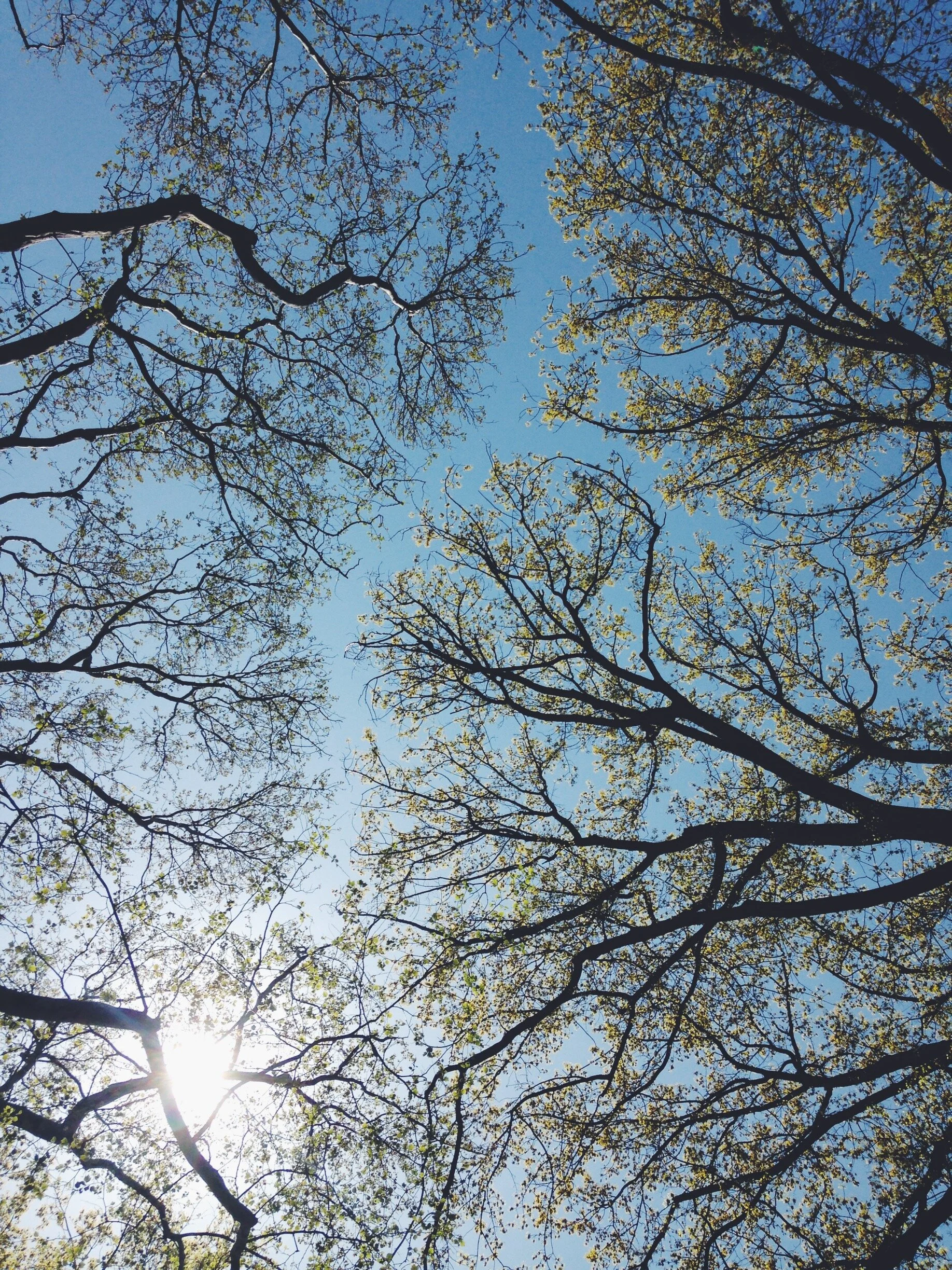 VSCO Cam-18.jpg