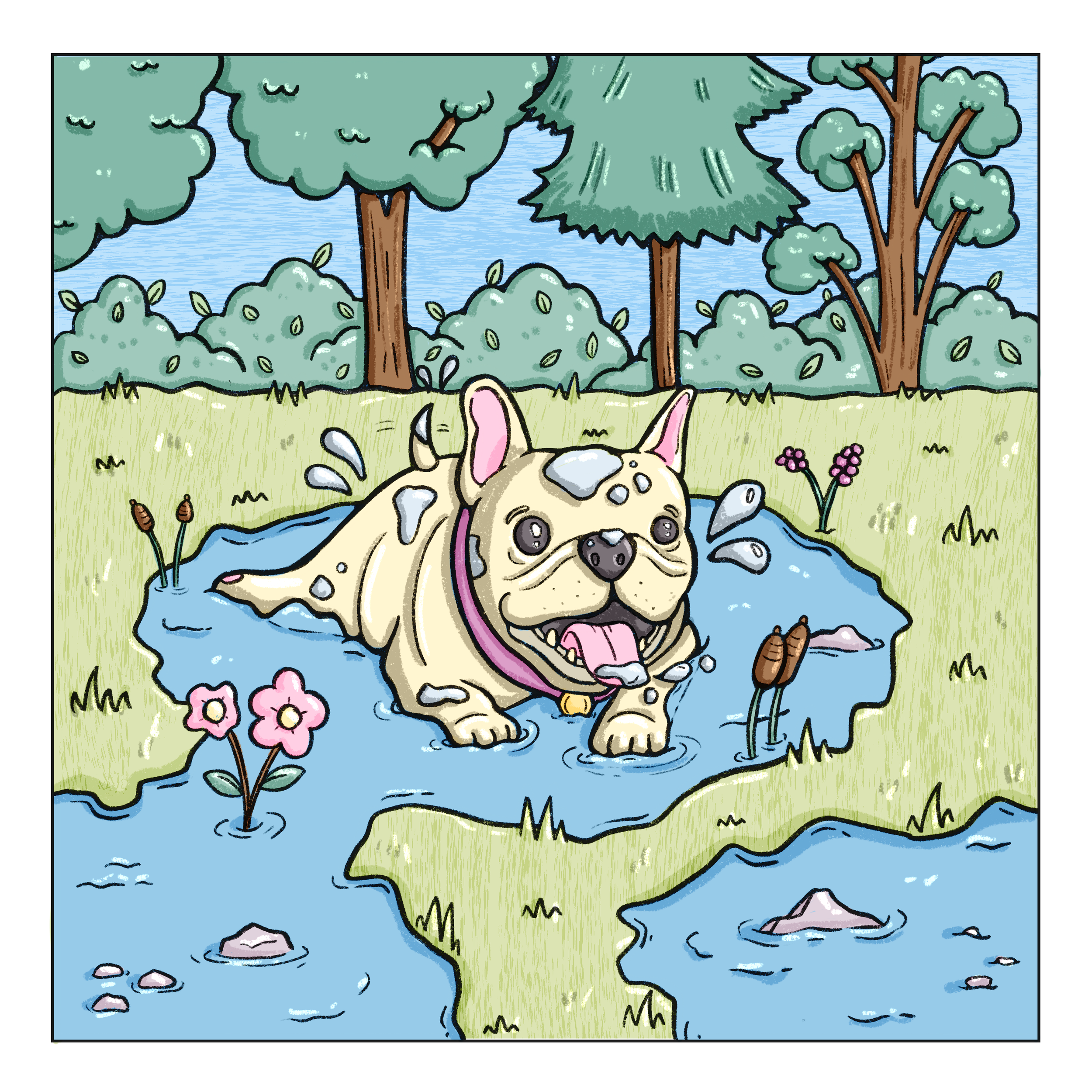 french bulldog lying in puddles